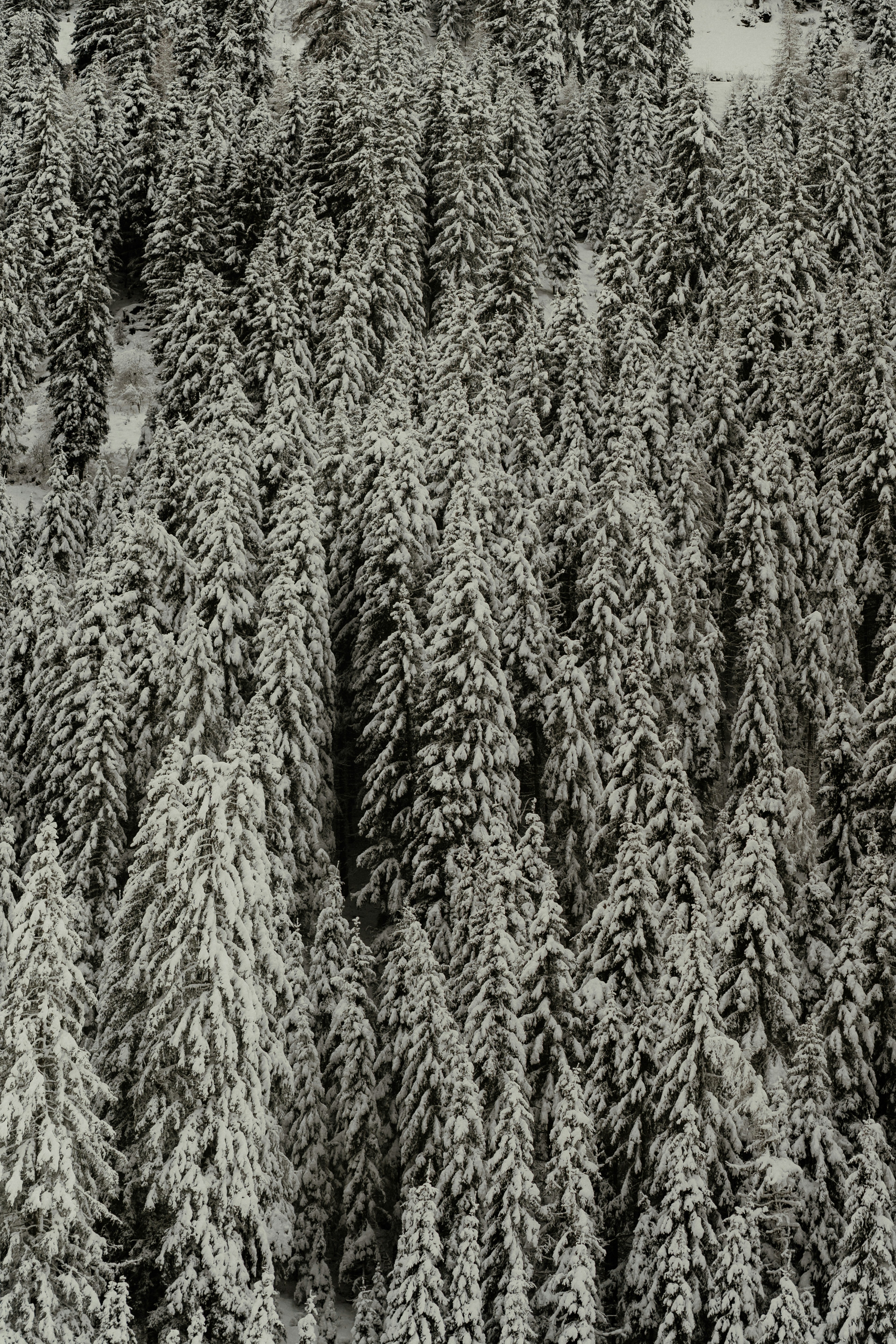 Photo by luiseandnic