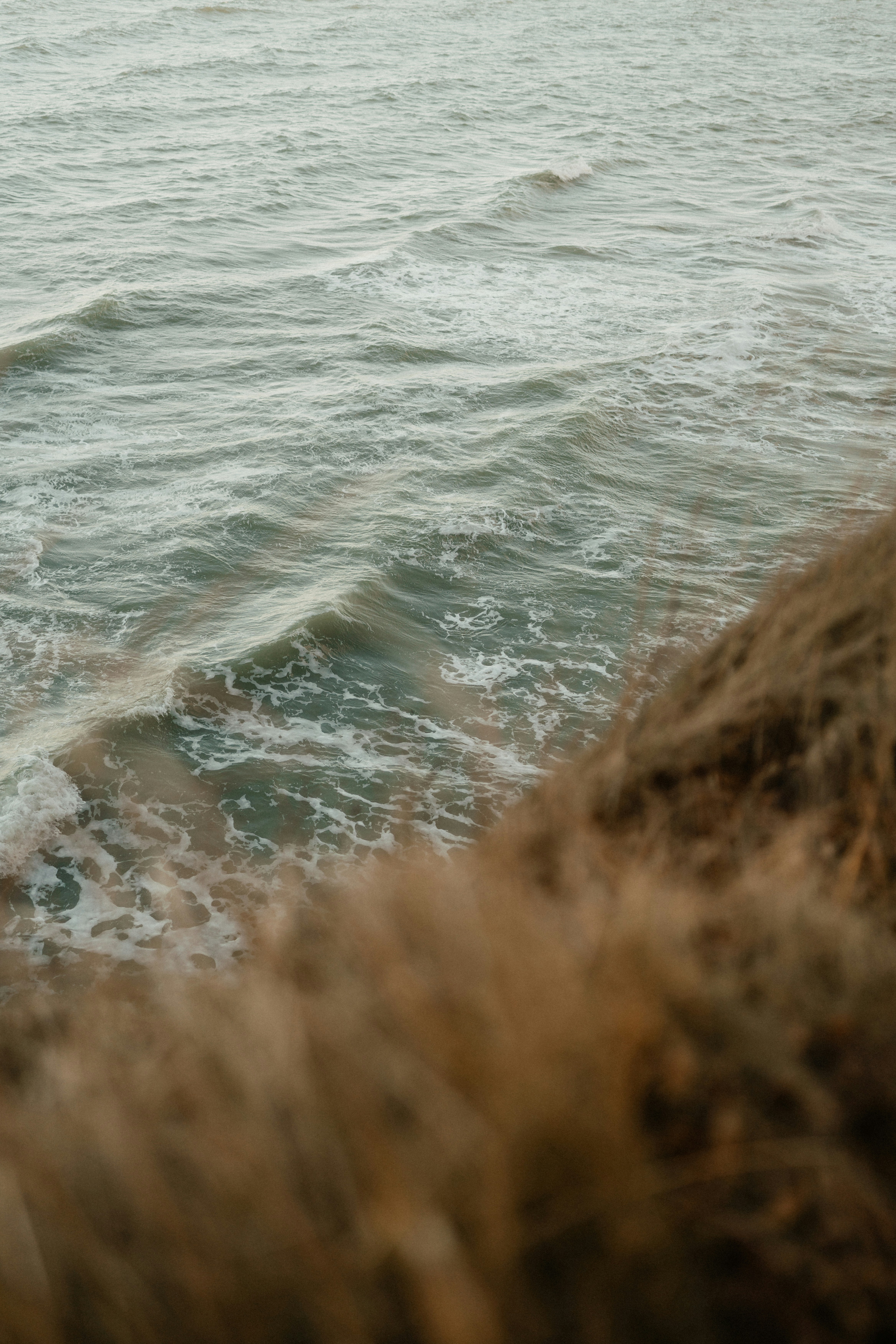 Photo by luiseandnic