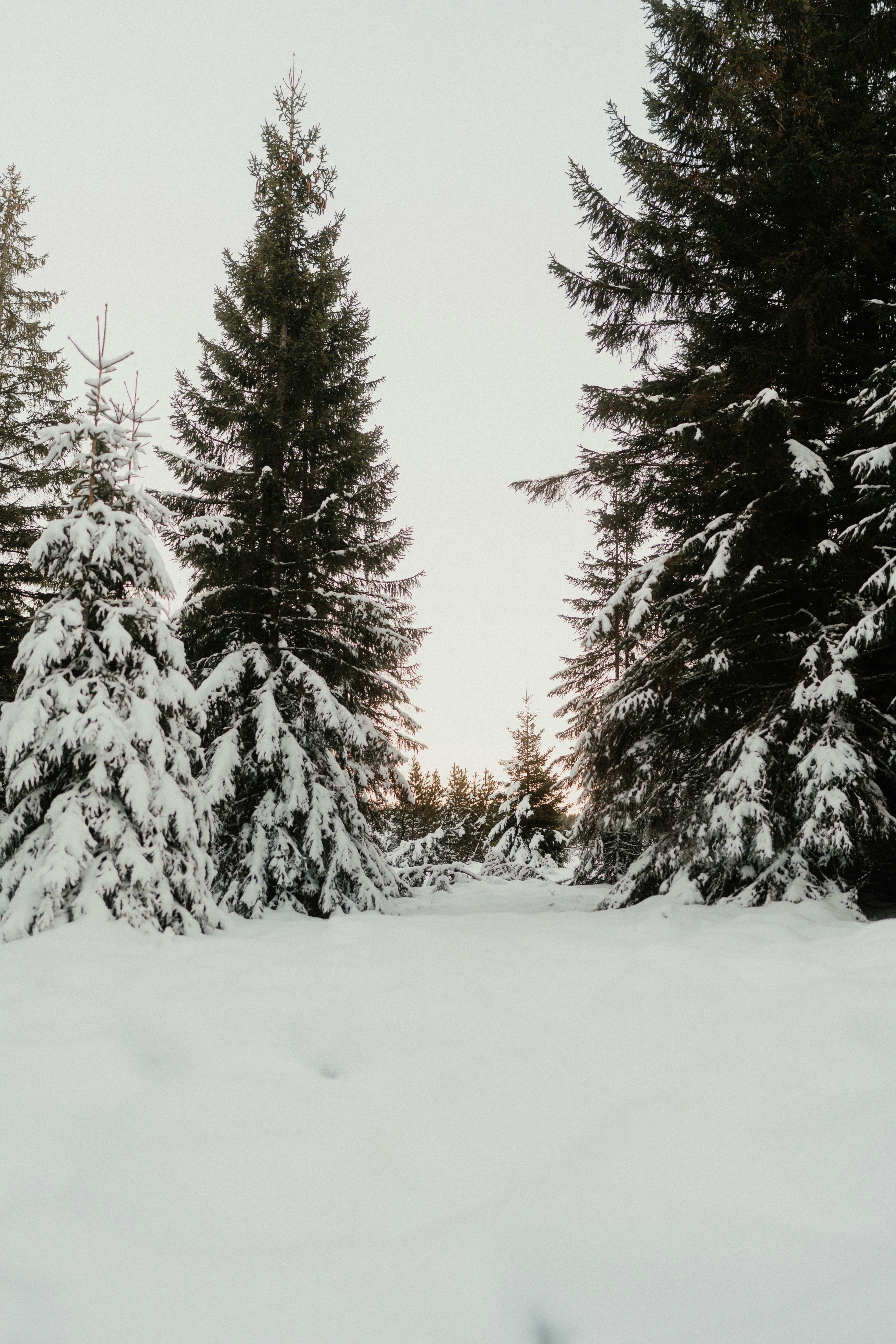 Photo by luiseandnic