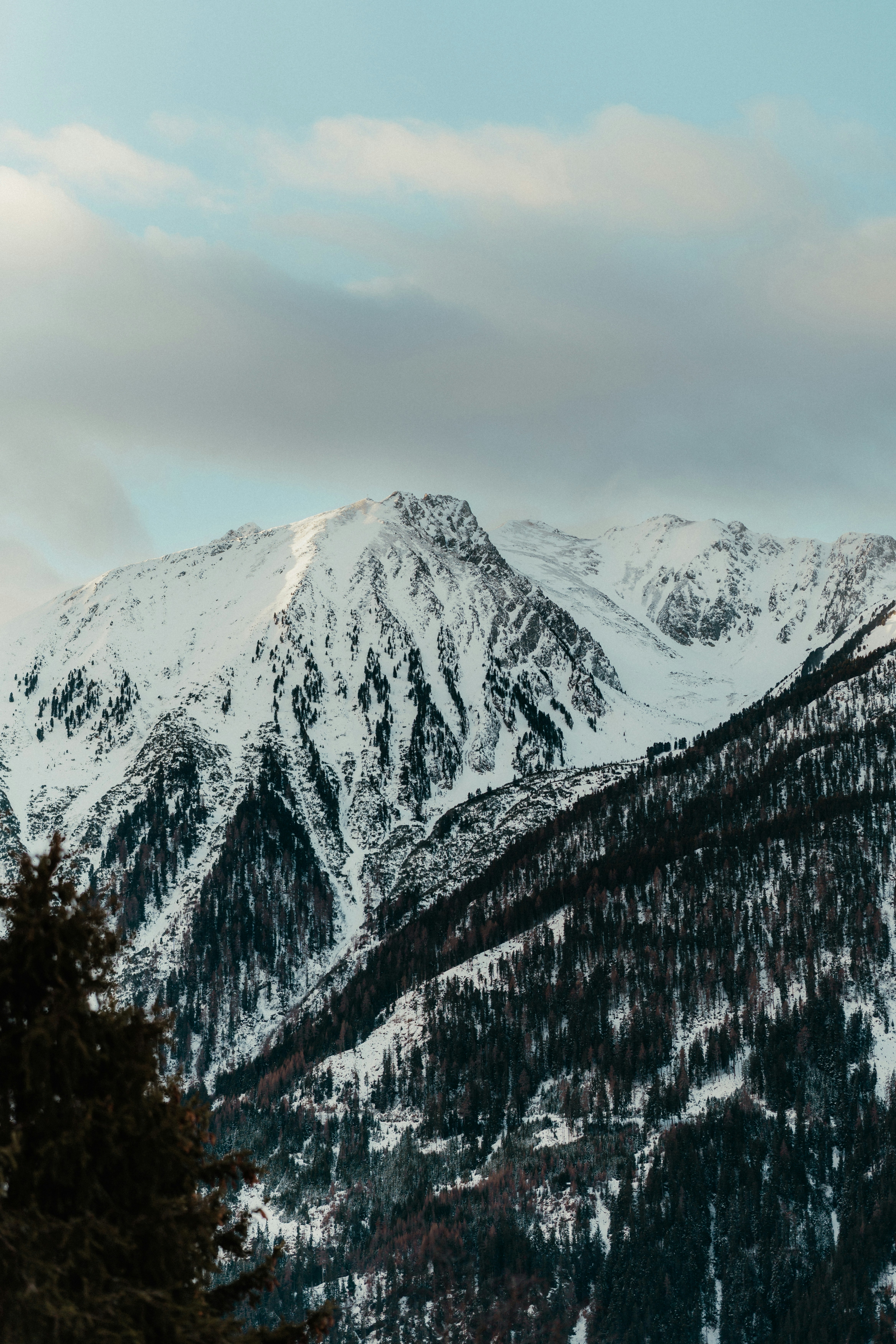 Photo by luiseandnic