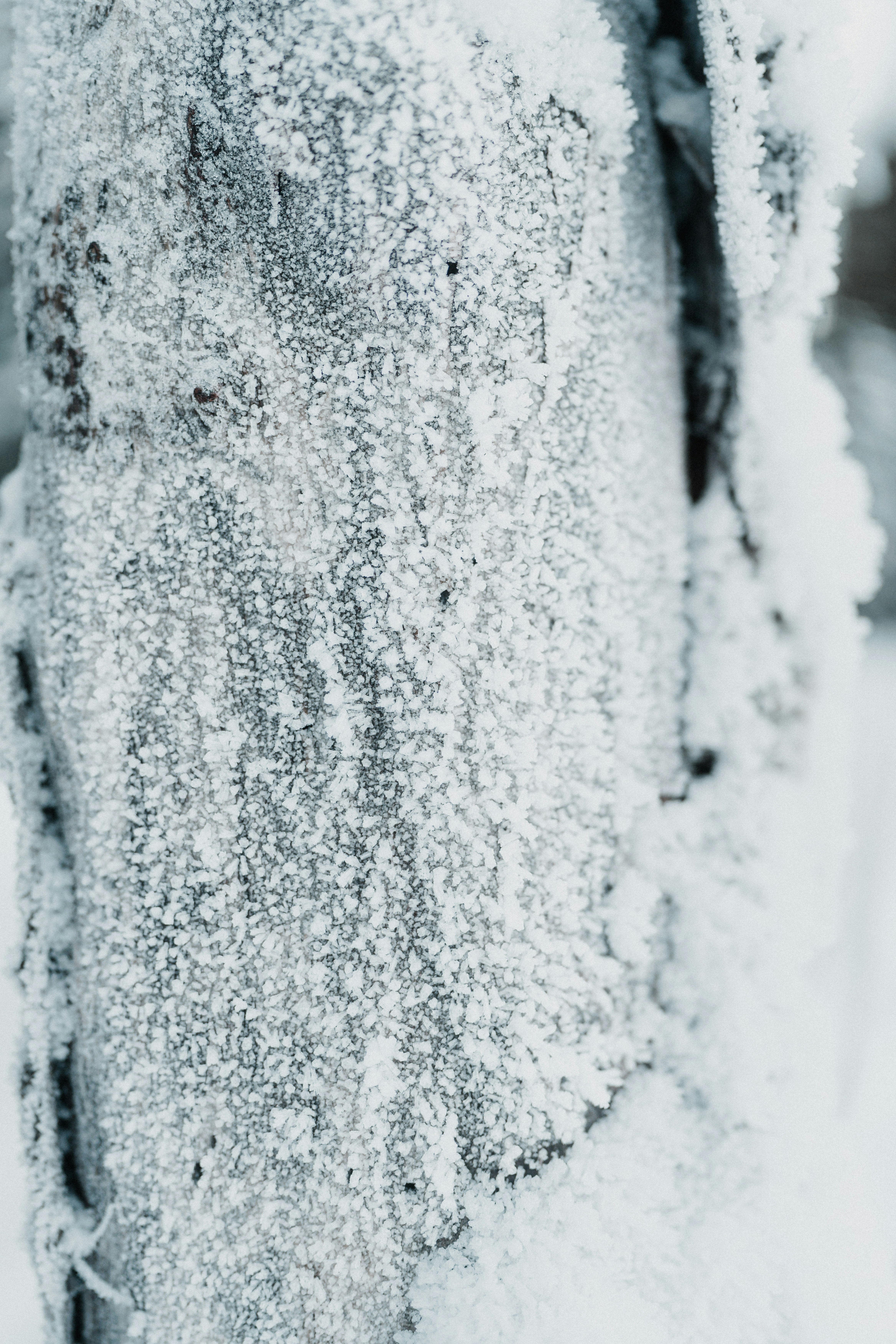 Photo by luiseandnic