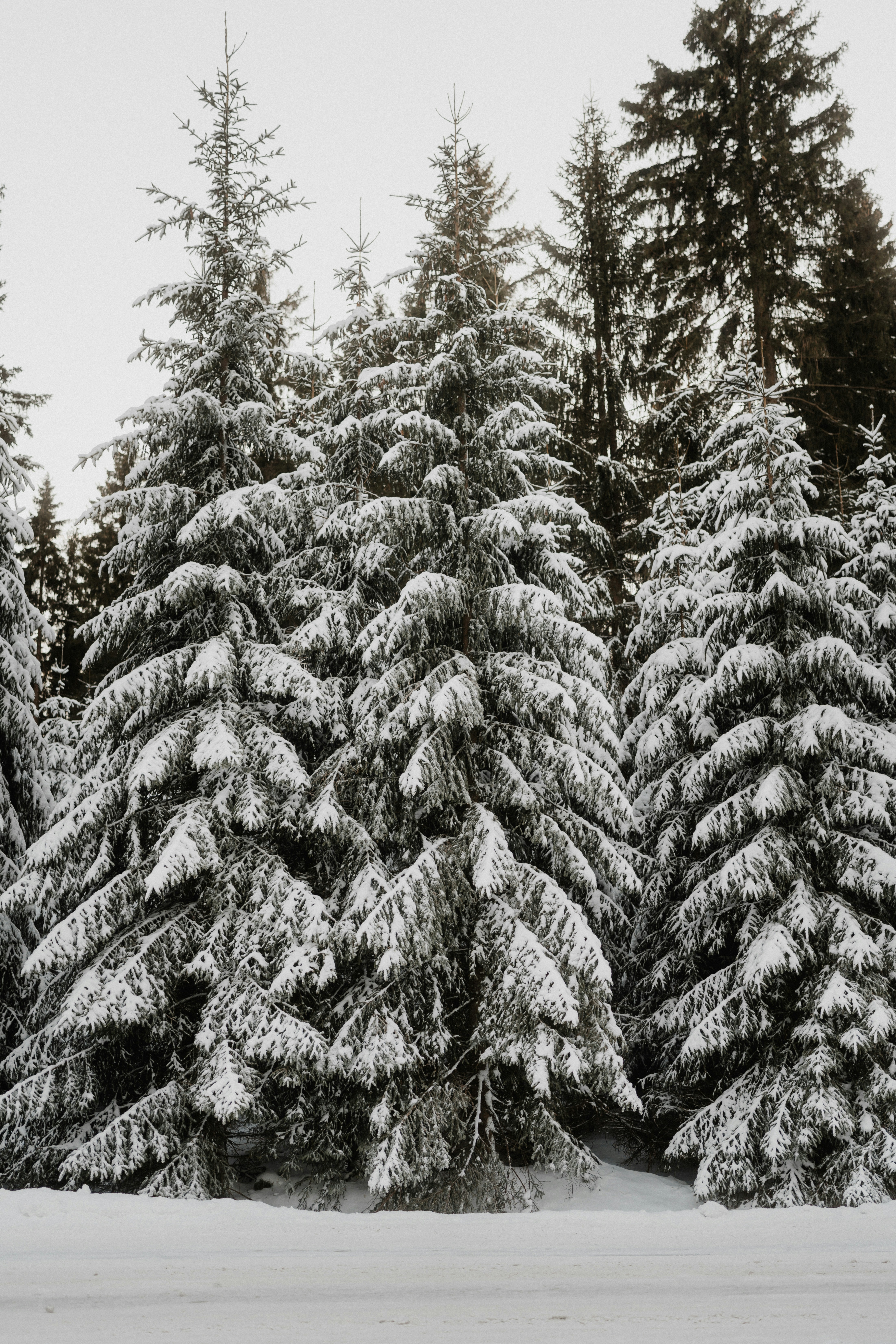 Photo by luiseandnic