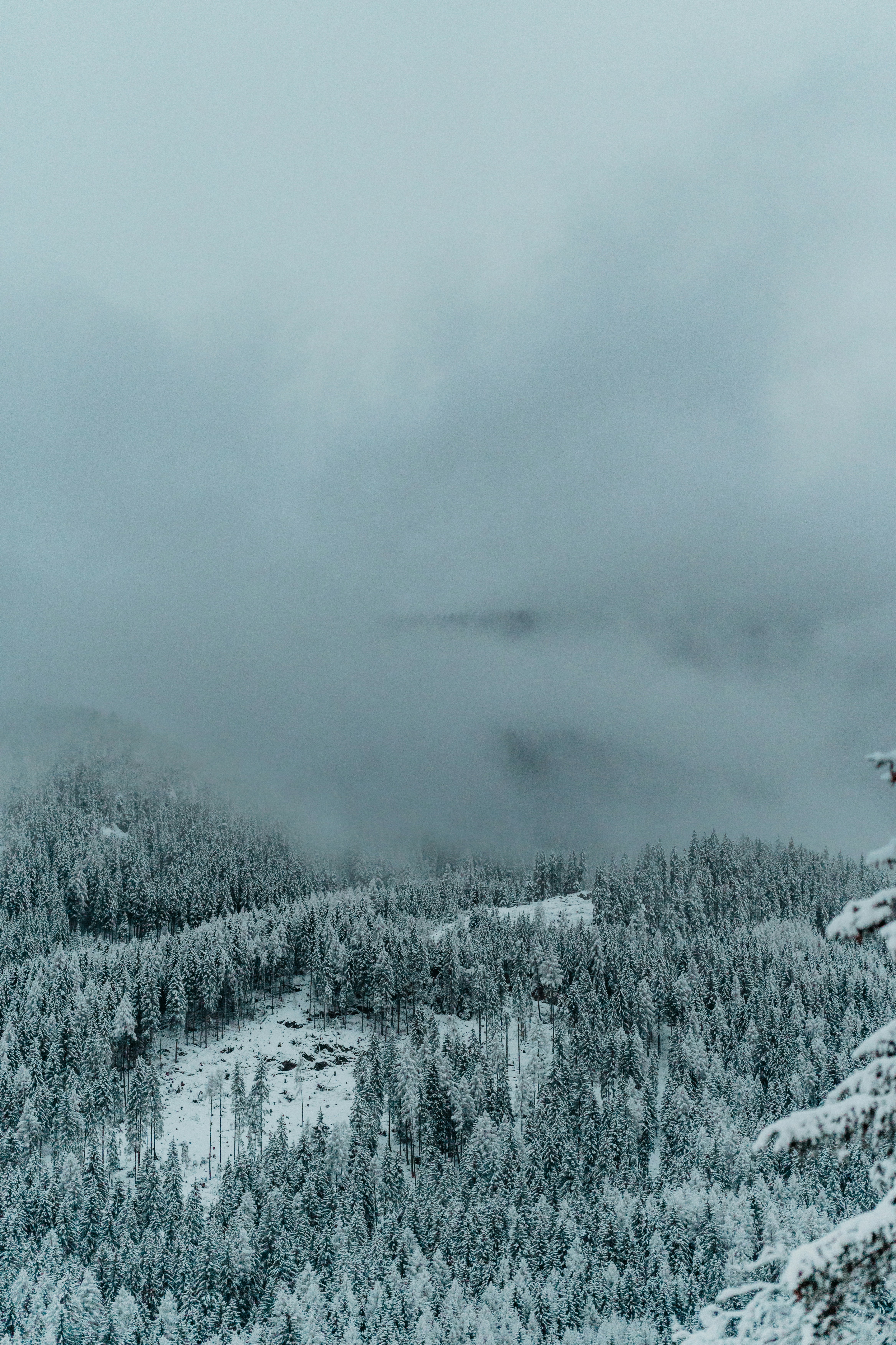 Photo by luiseandnic