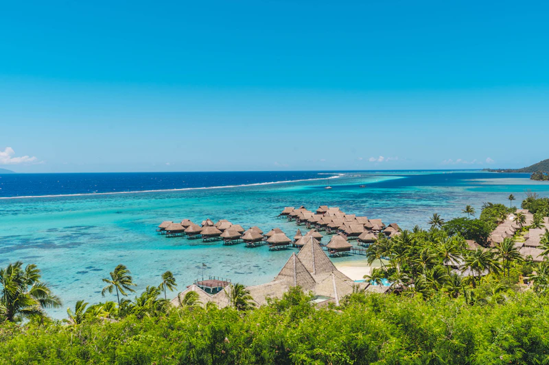 Beachside Luxury