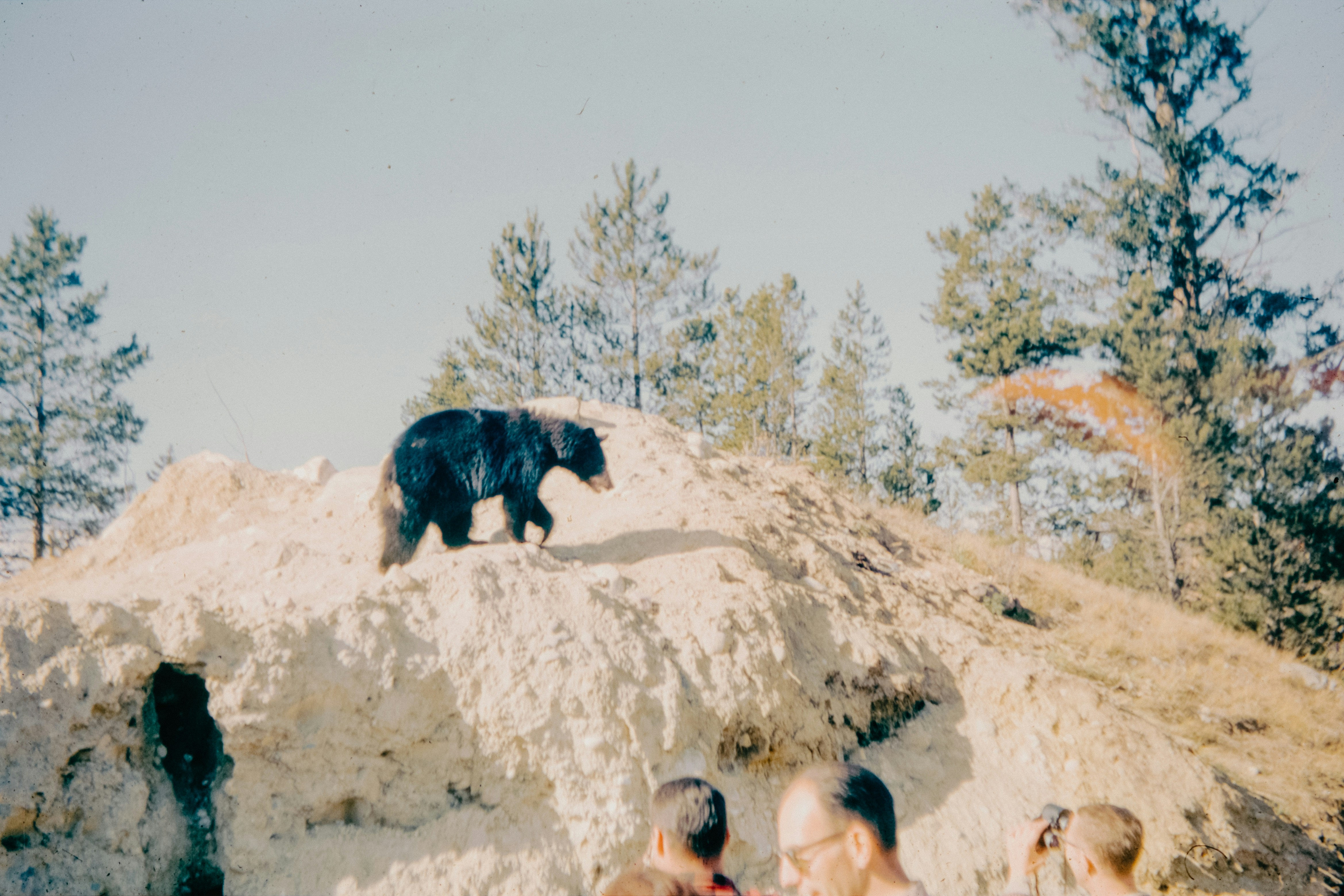 A group of people standing around a bear on top of a hill