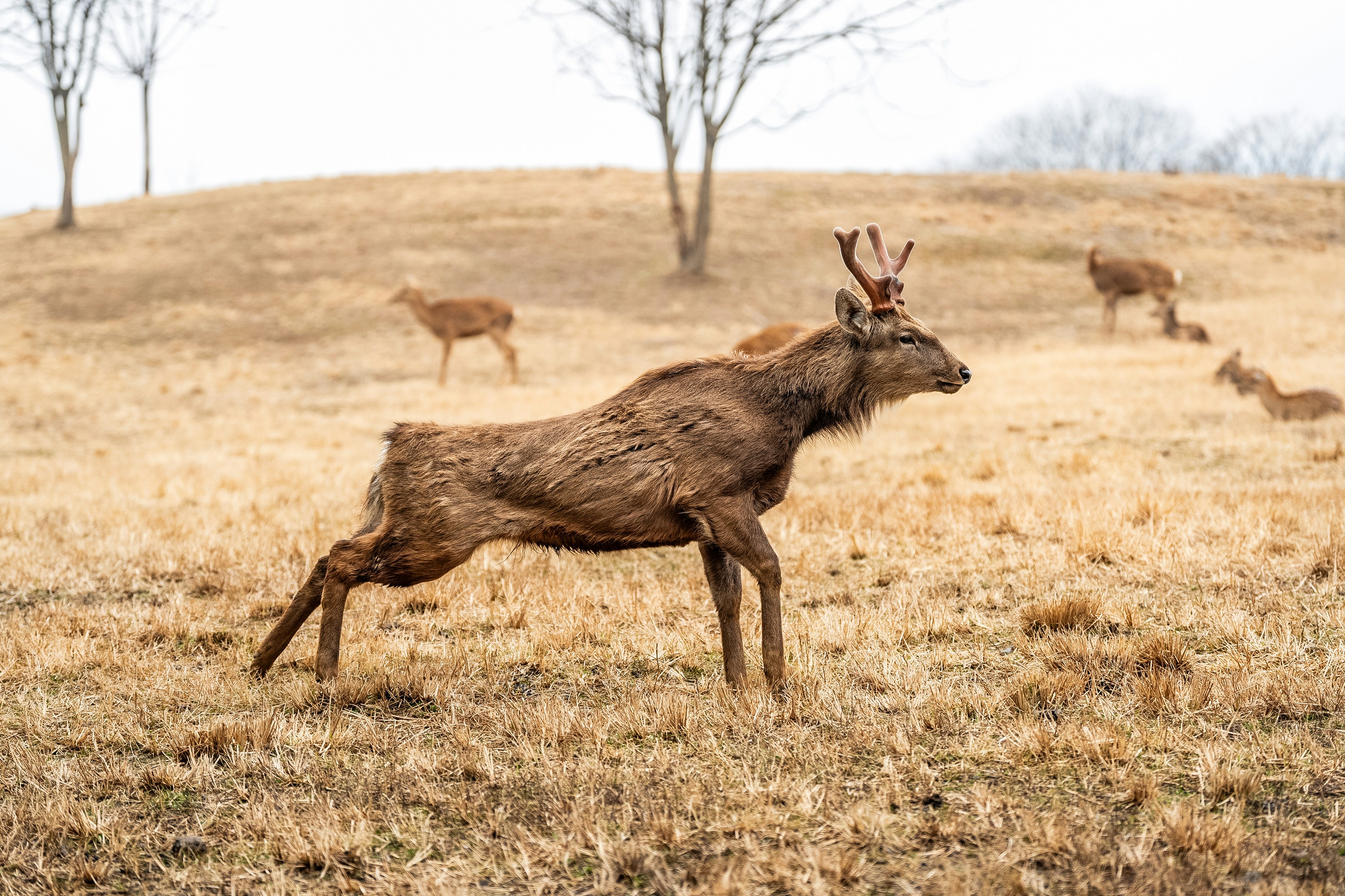 Hangzhou, China - None