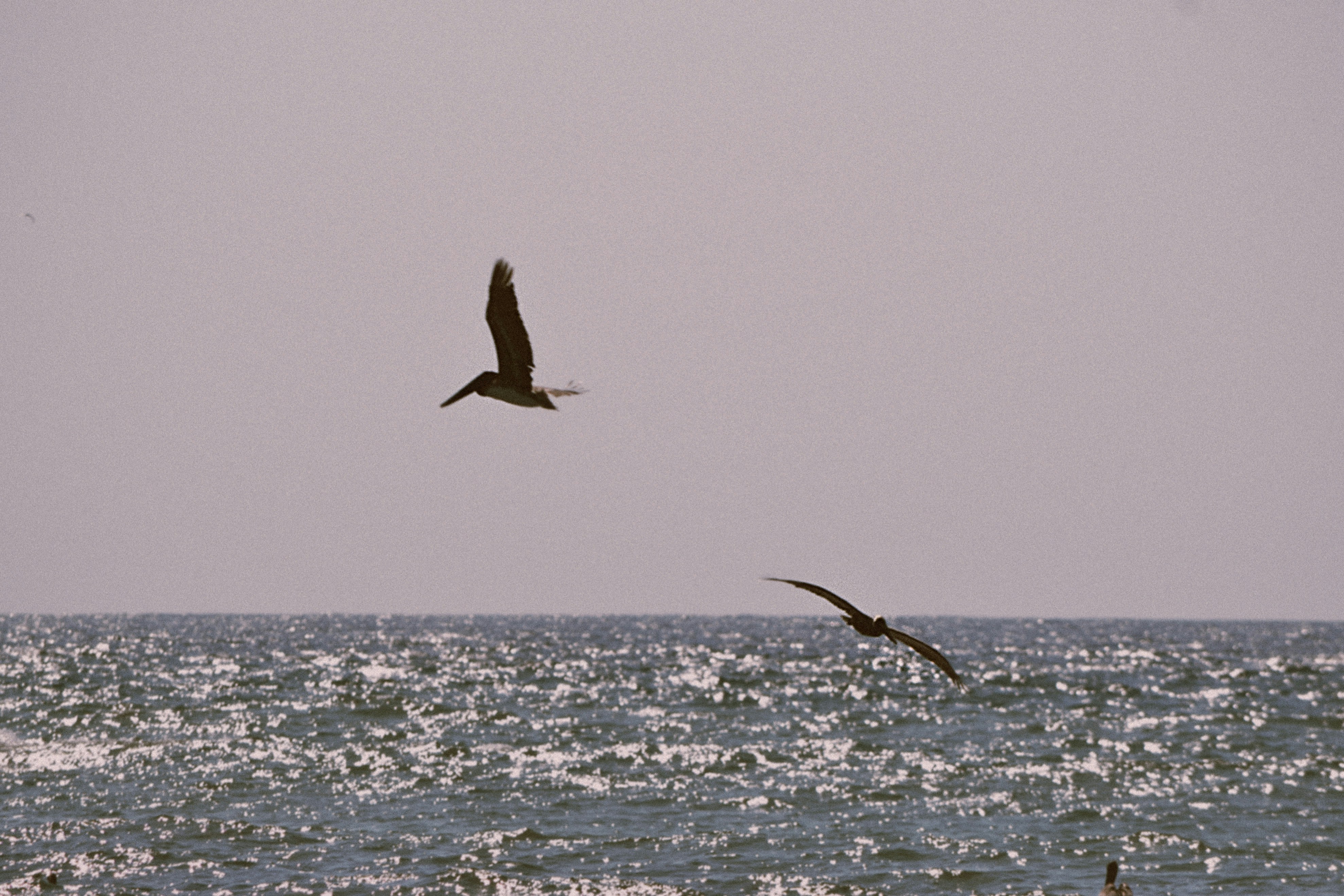 Photo by anivardiero