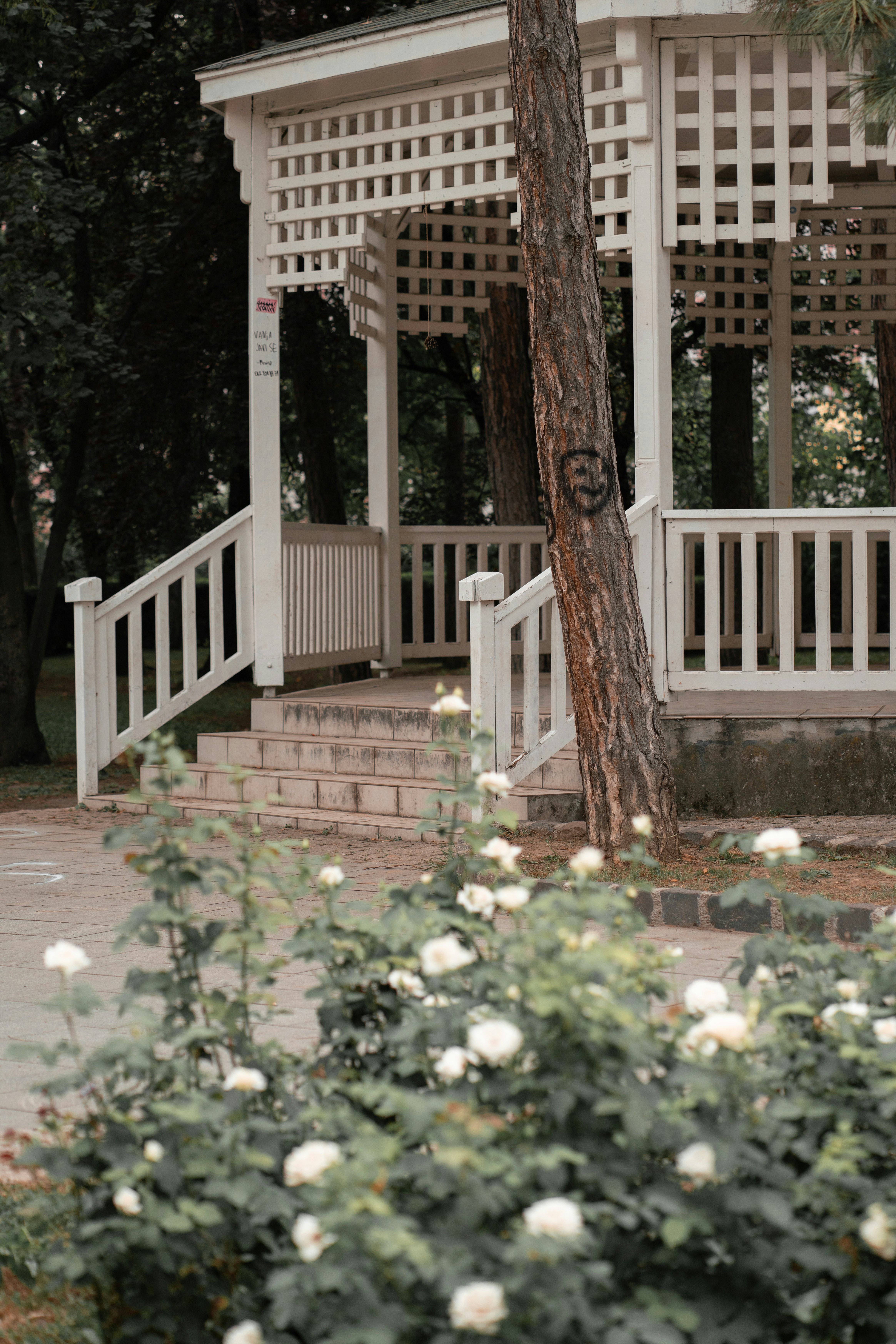 Photo by fairycarousel