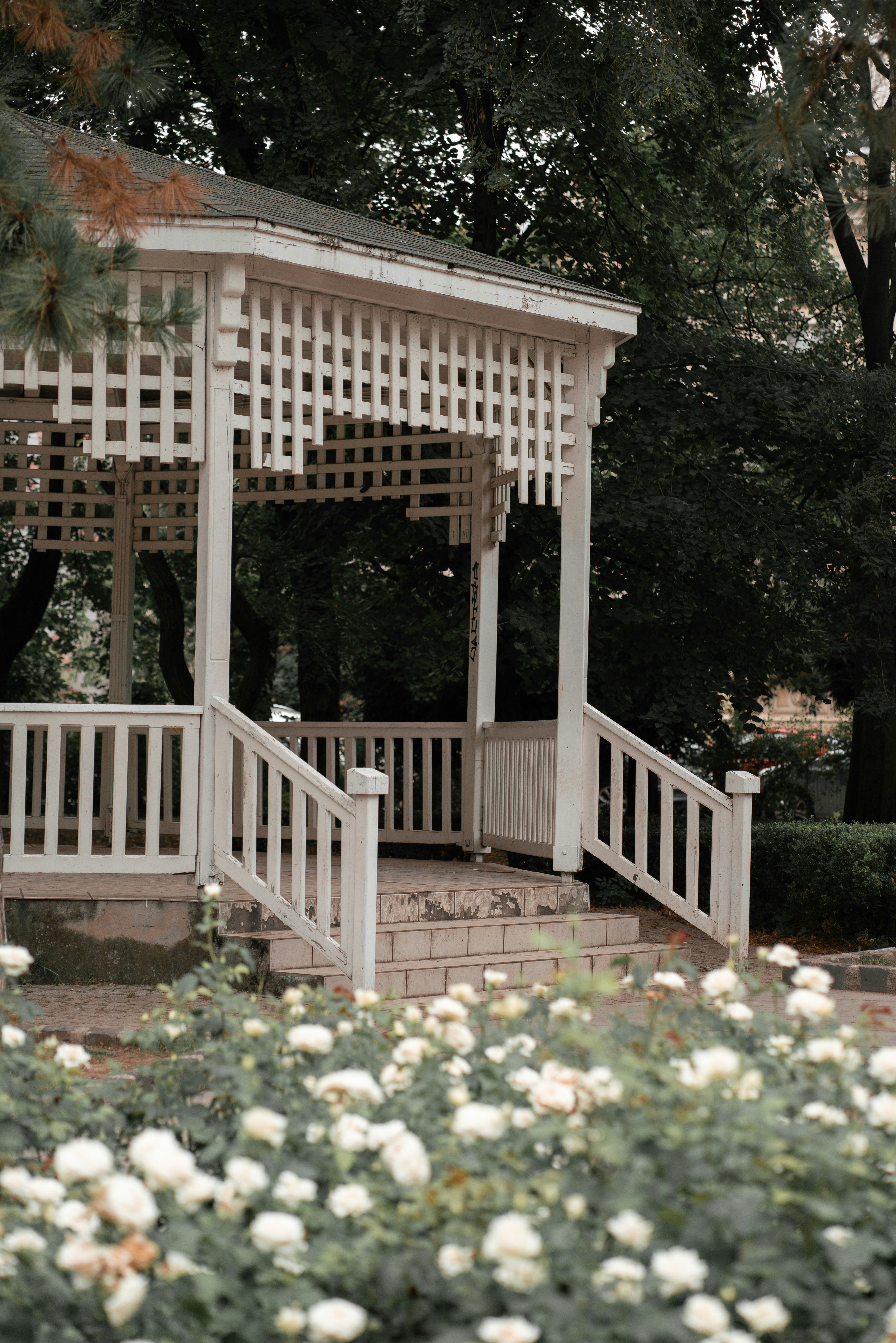 Photo by fairycarousel