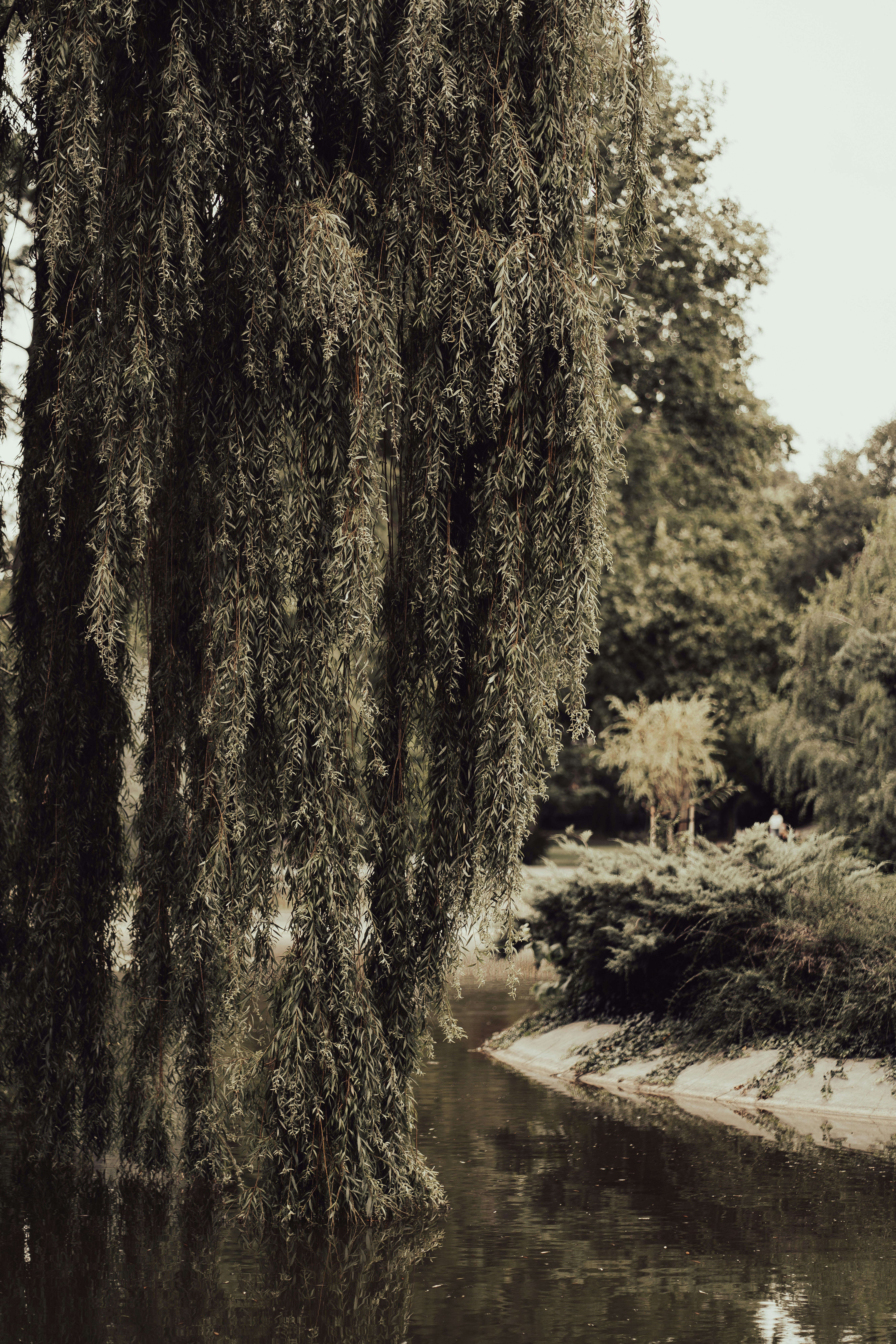 Photo by fairycarousel