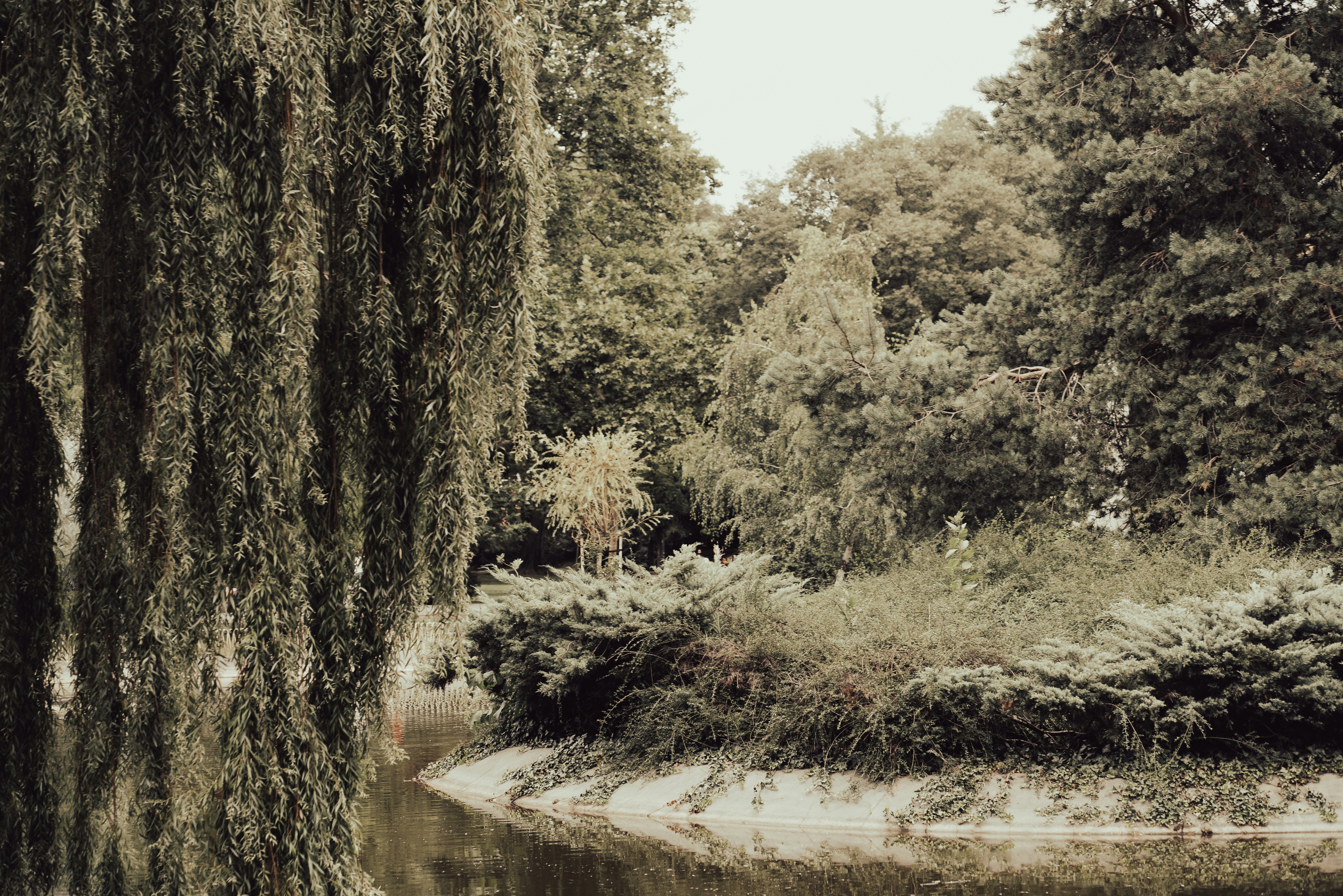 Photo by fairycarousel