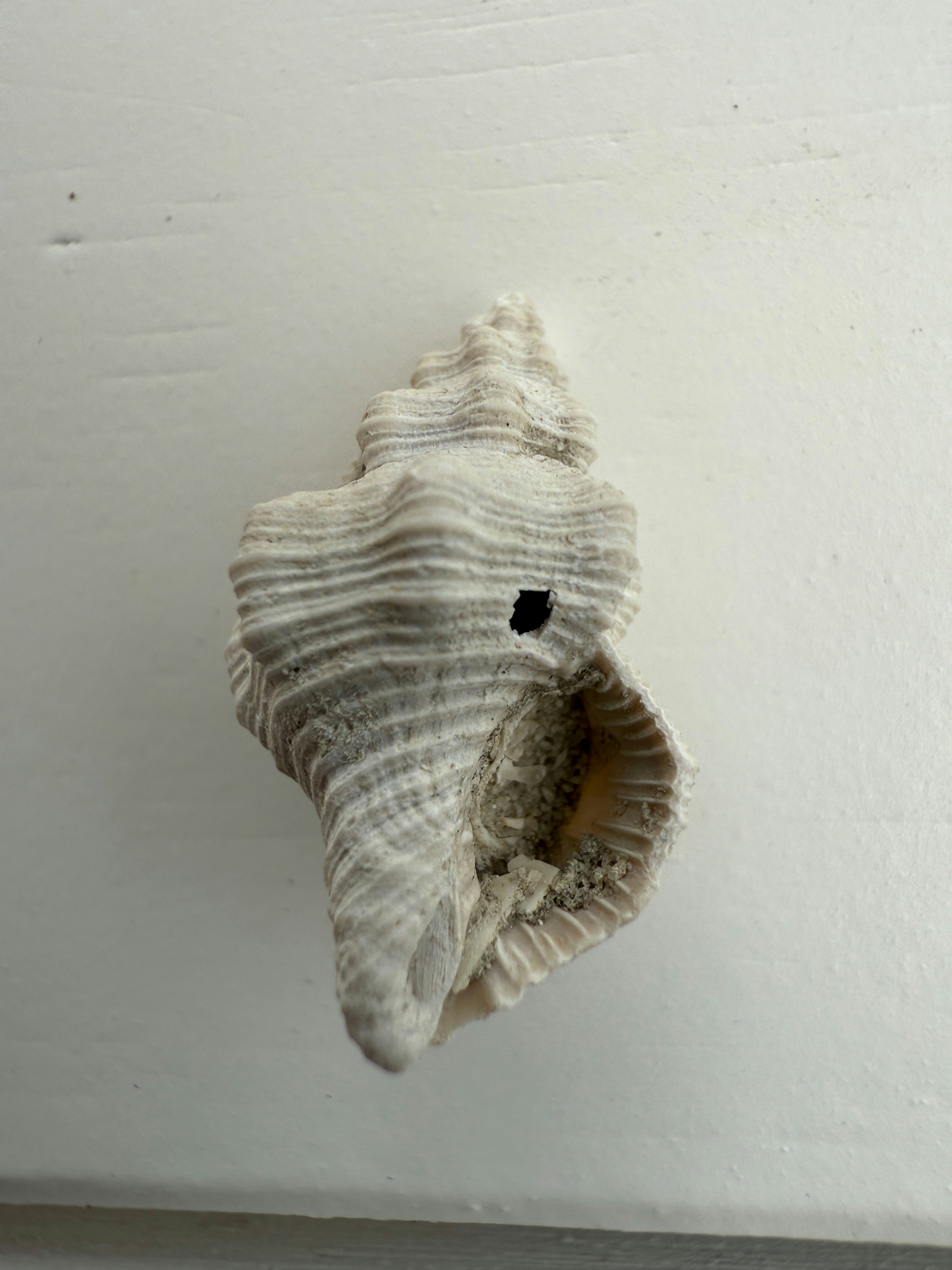 Photo by synthetic4110