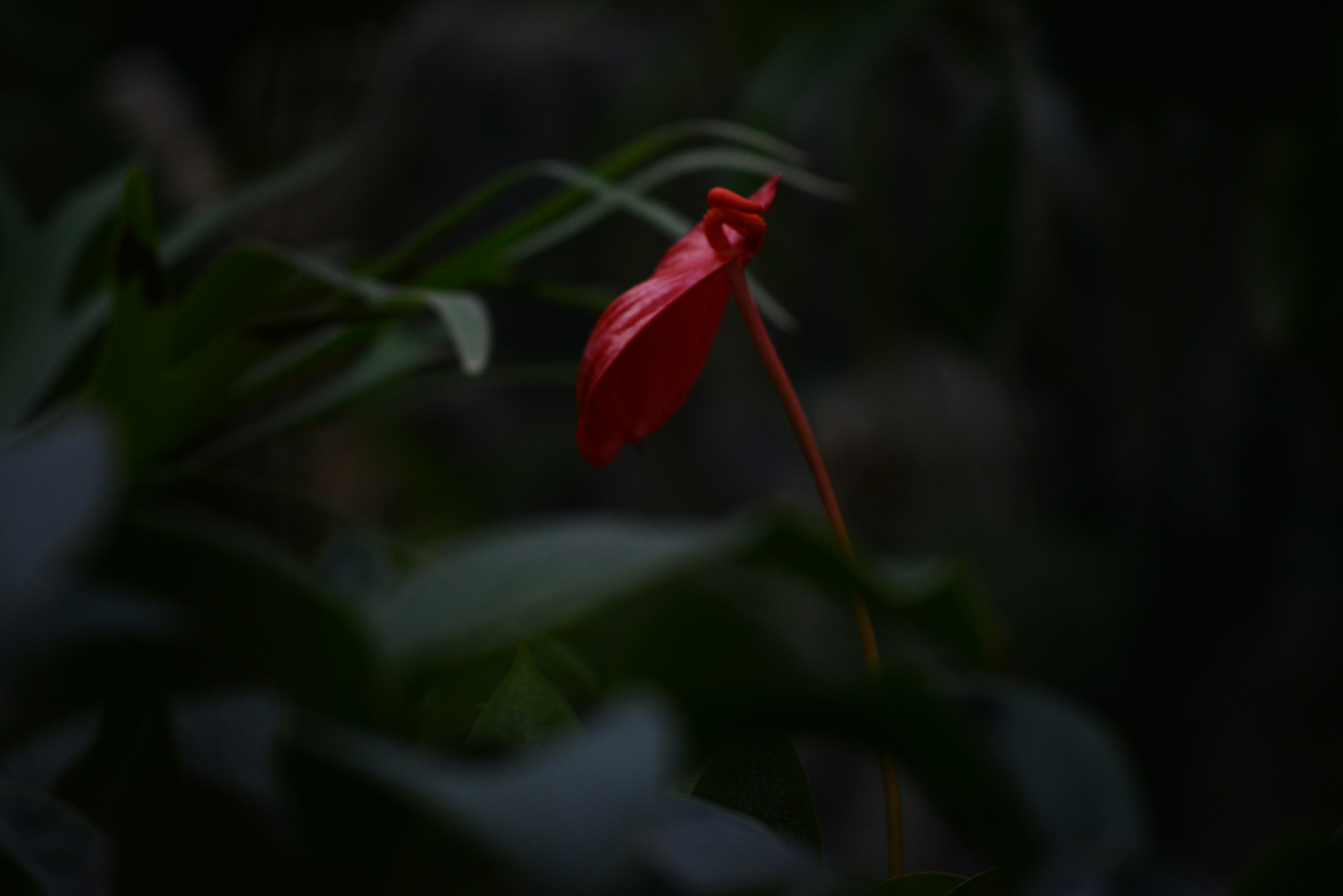 Photo by cherstve_pechivo