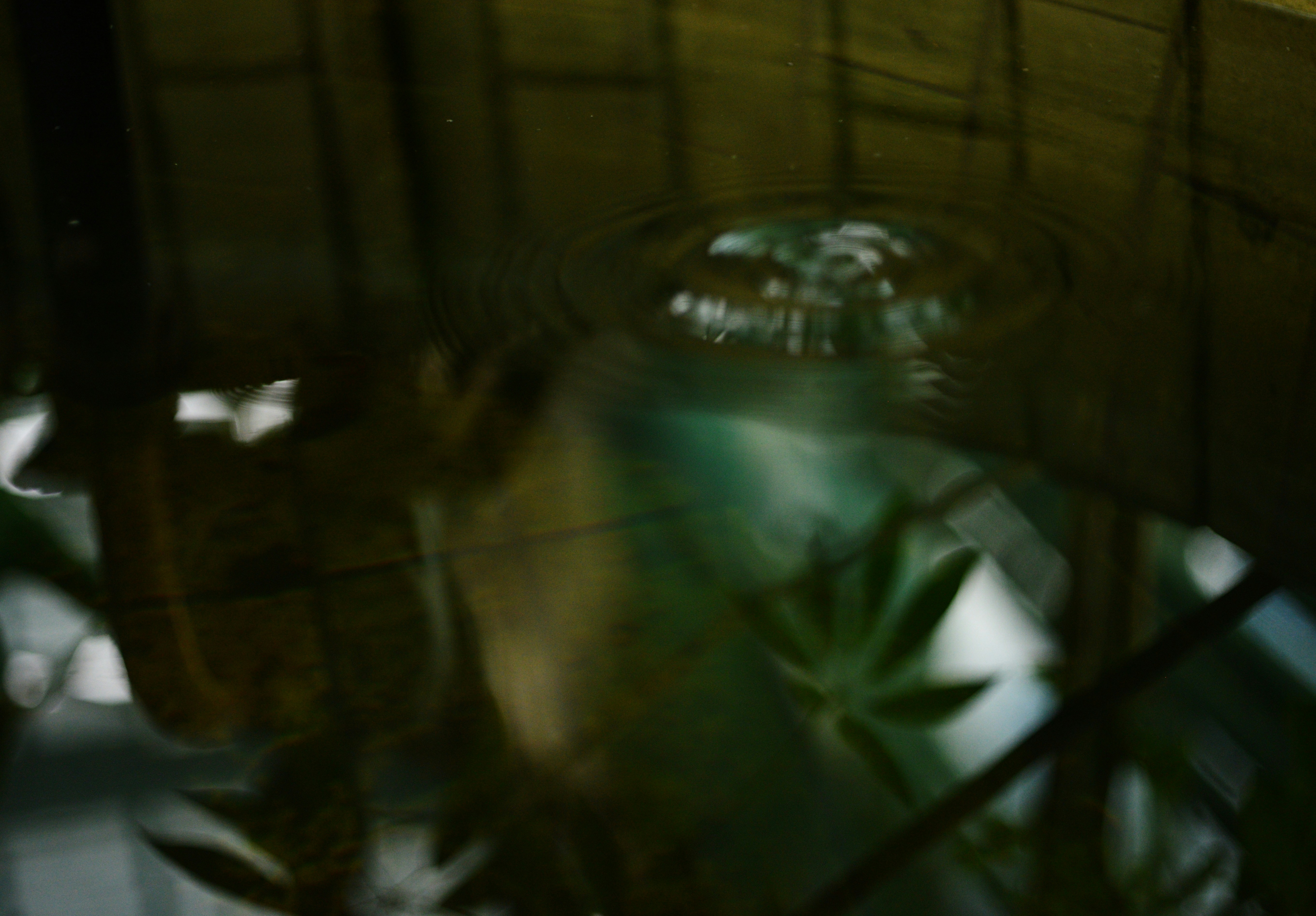 Photo by cherstve_pechivo