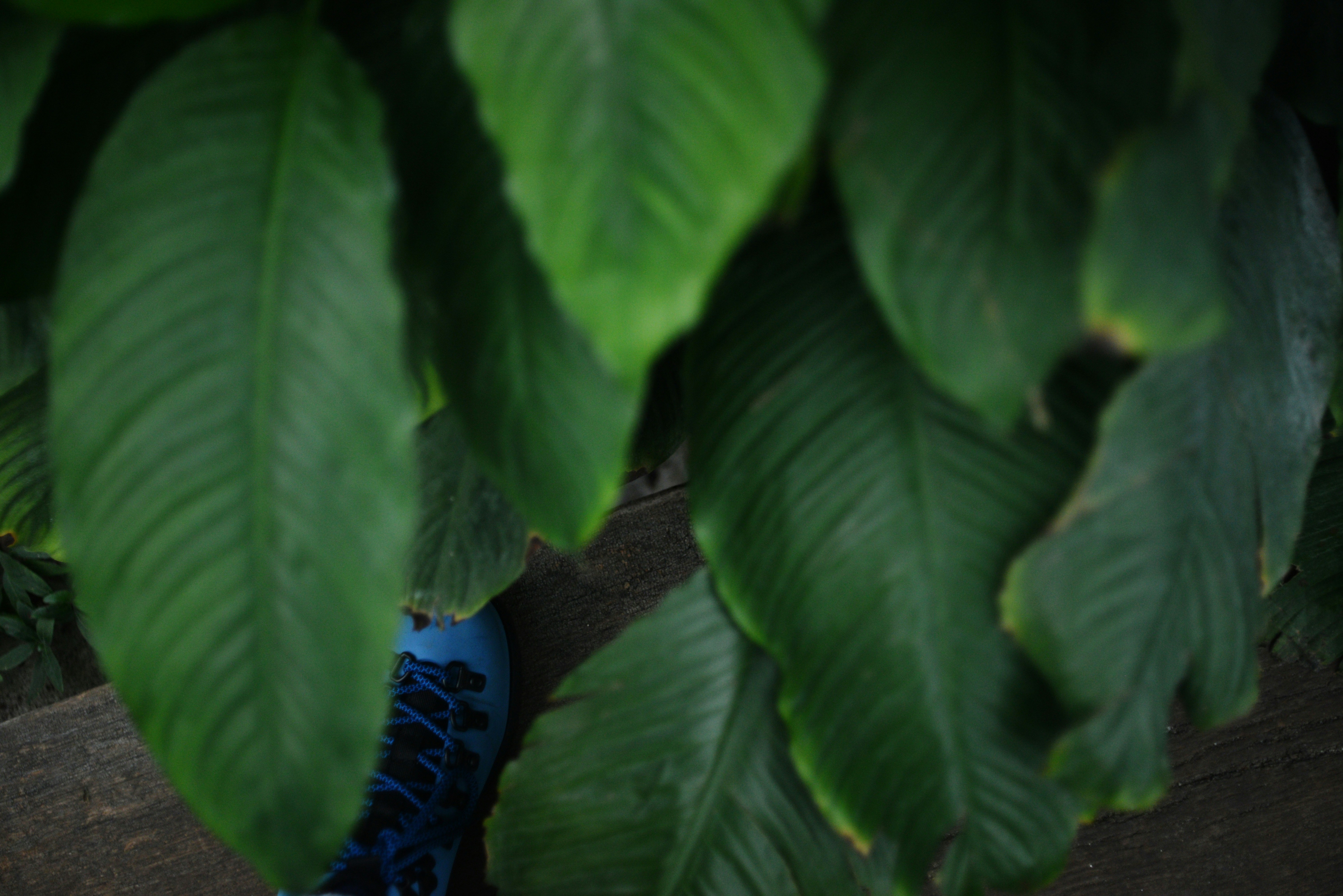 Photo by cherstve_pechivo