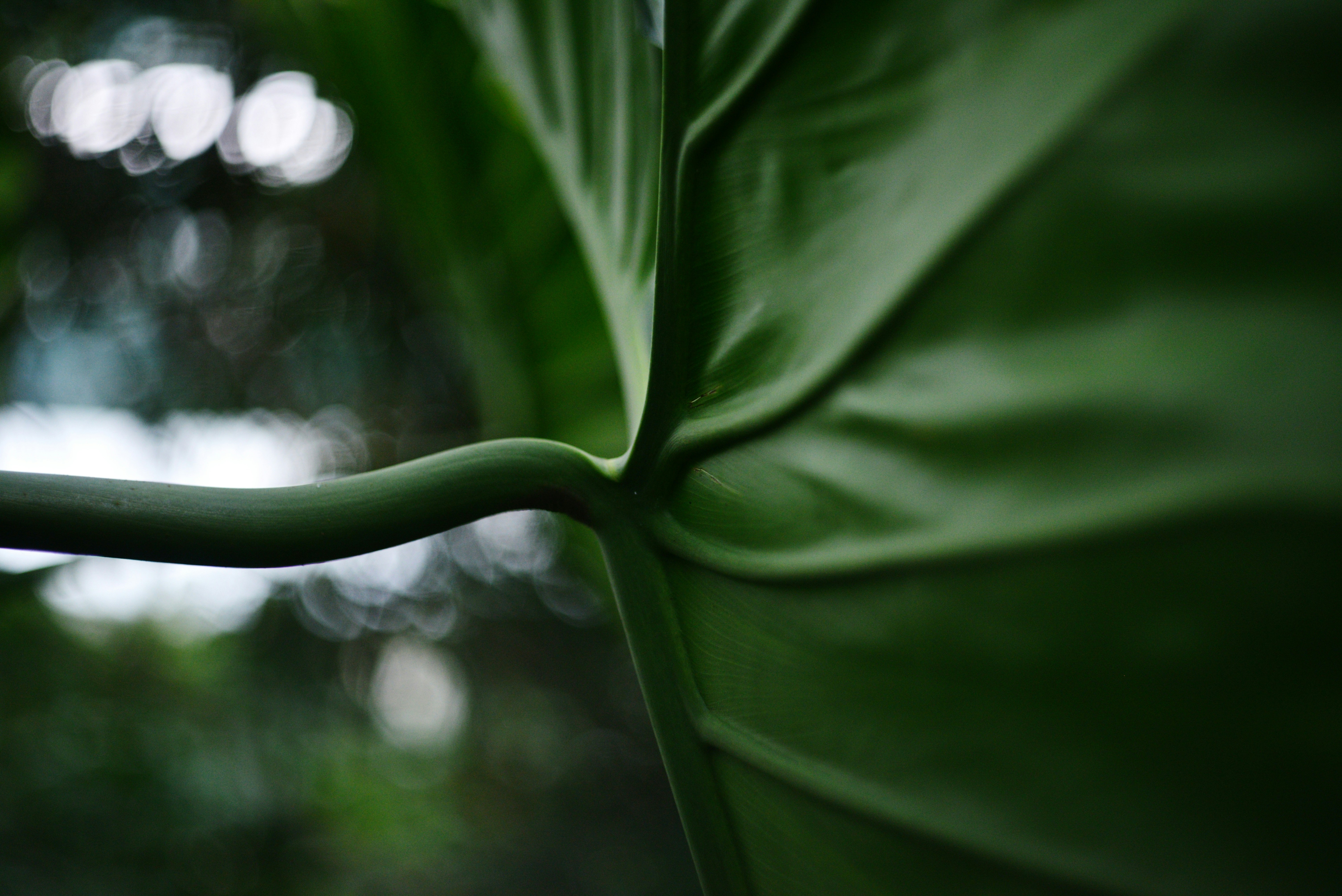 Photo by cherstve_pechivo