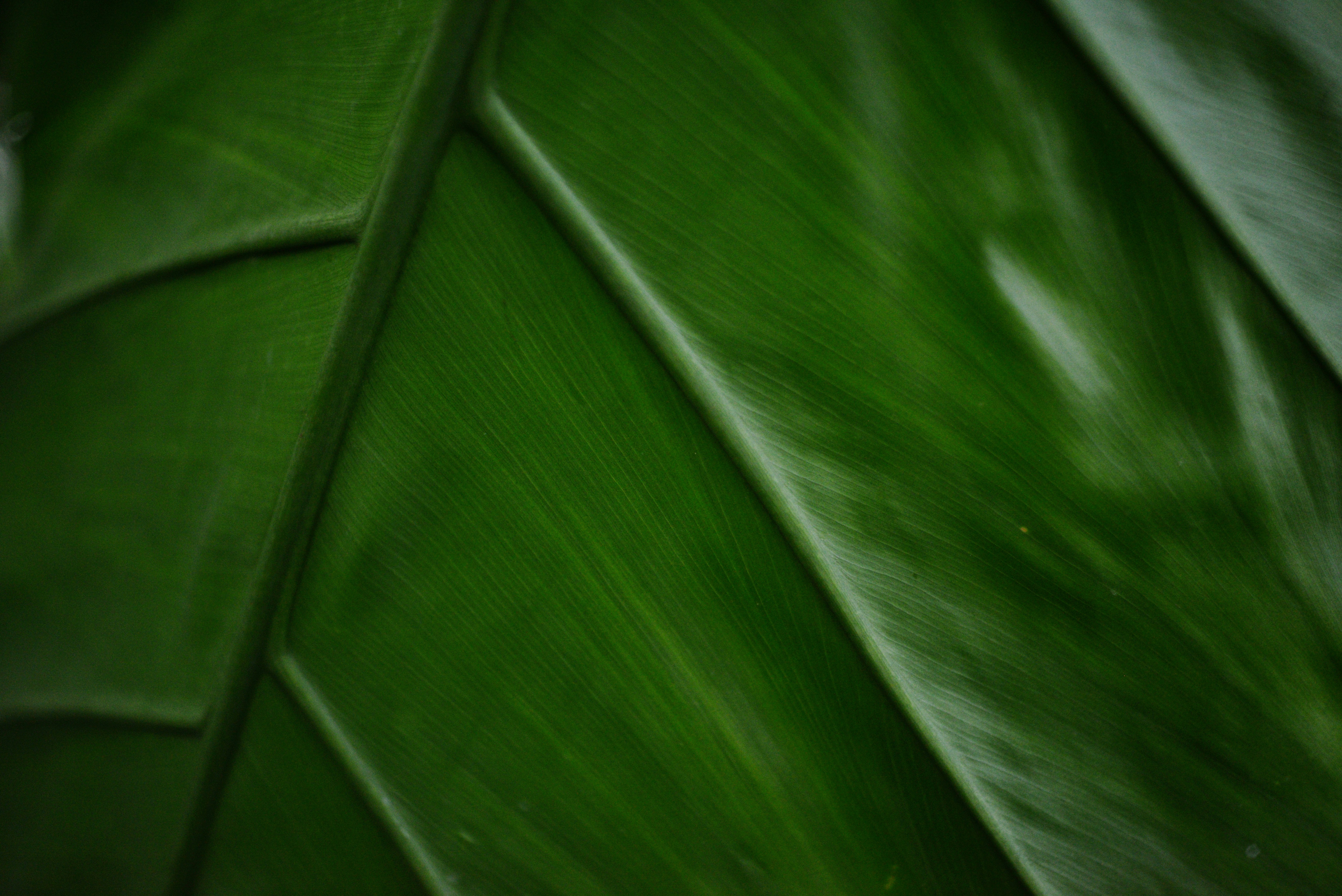 Photo by cherstve_pechivo