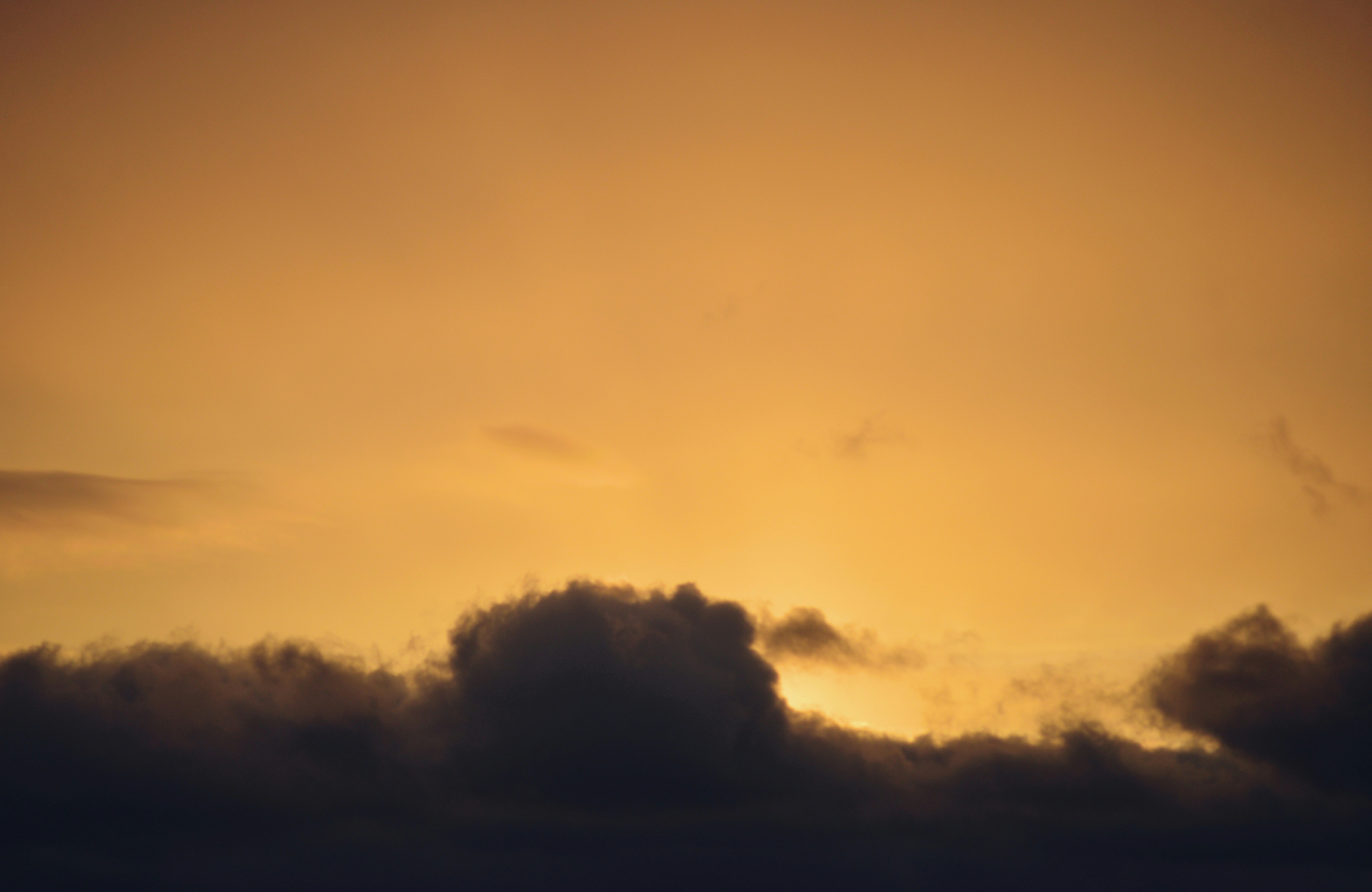 Photo by cherstve_pechivo