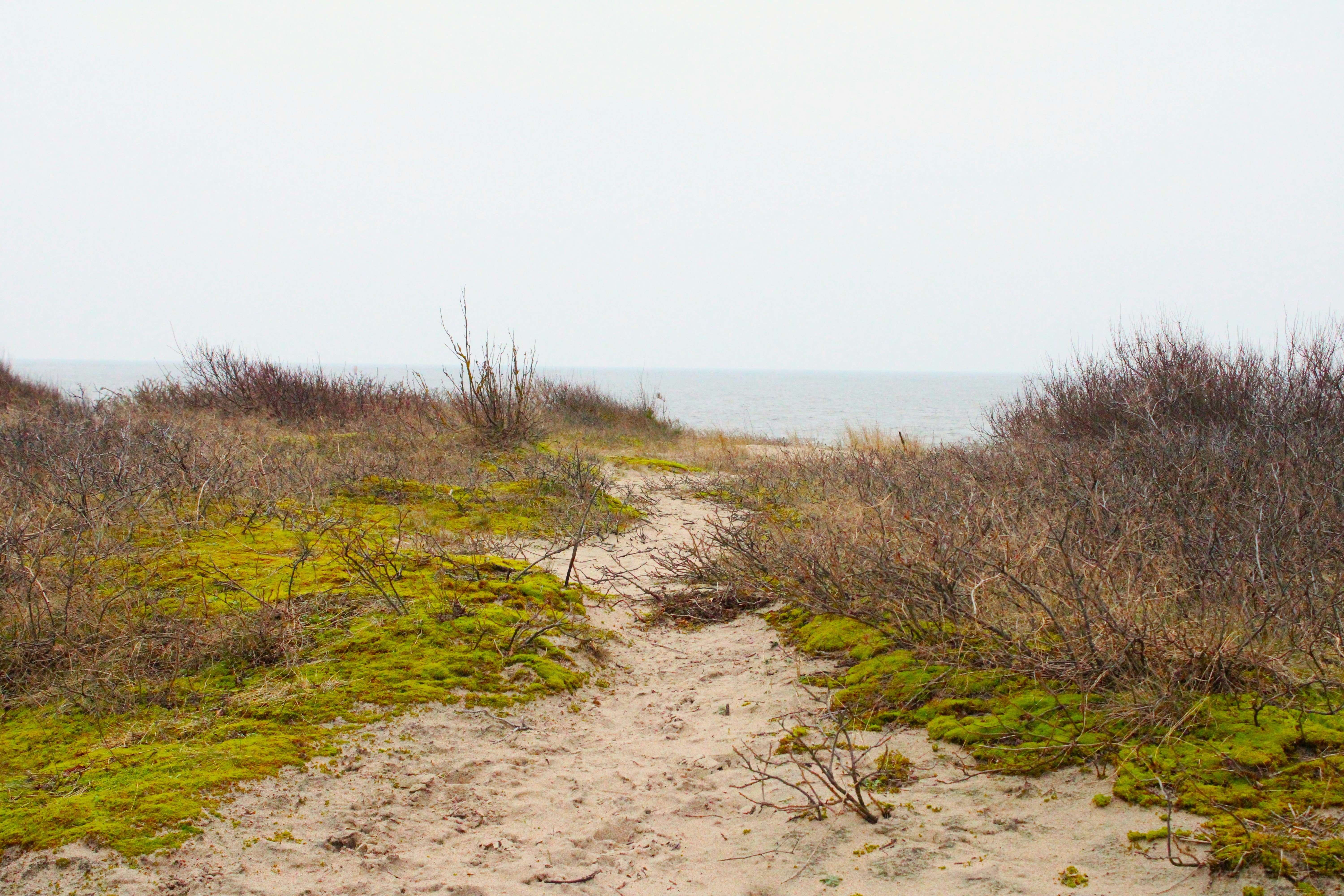 Photo by enamoradaaa