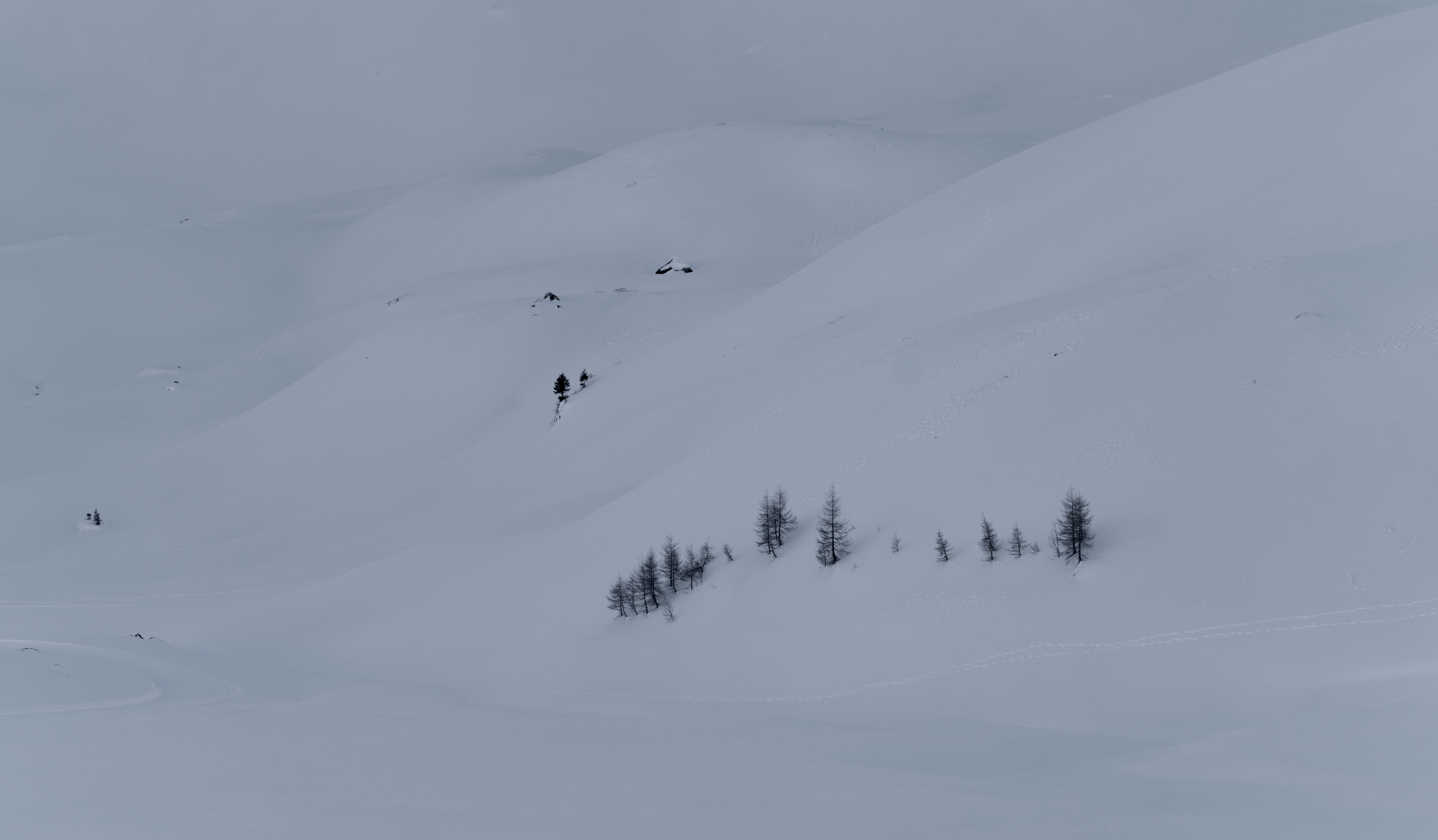 A group of people riding skis down a snow covered slope