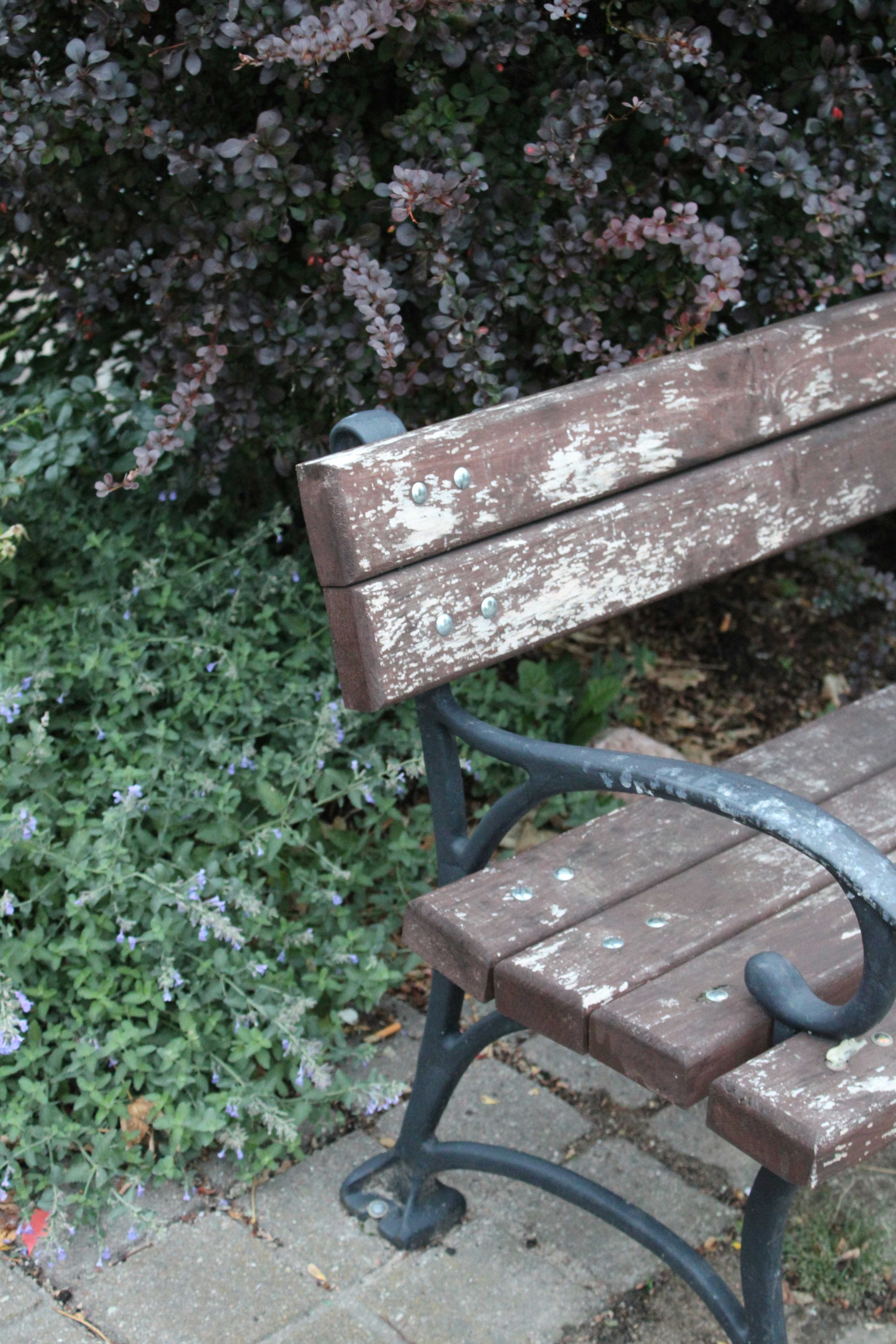 Photo by enamoradaaa