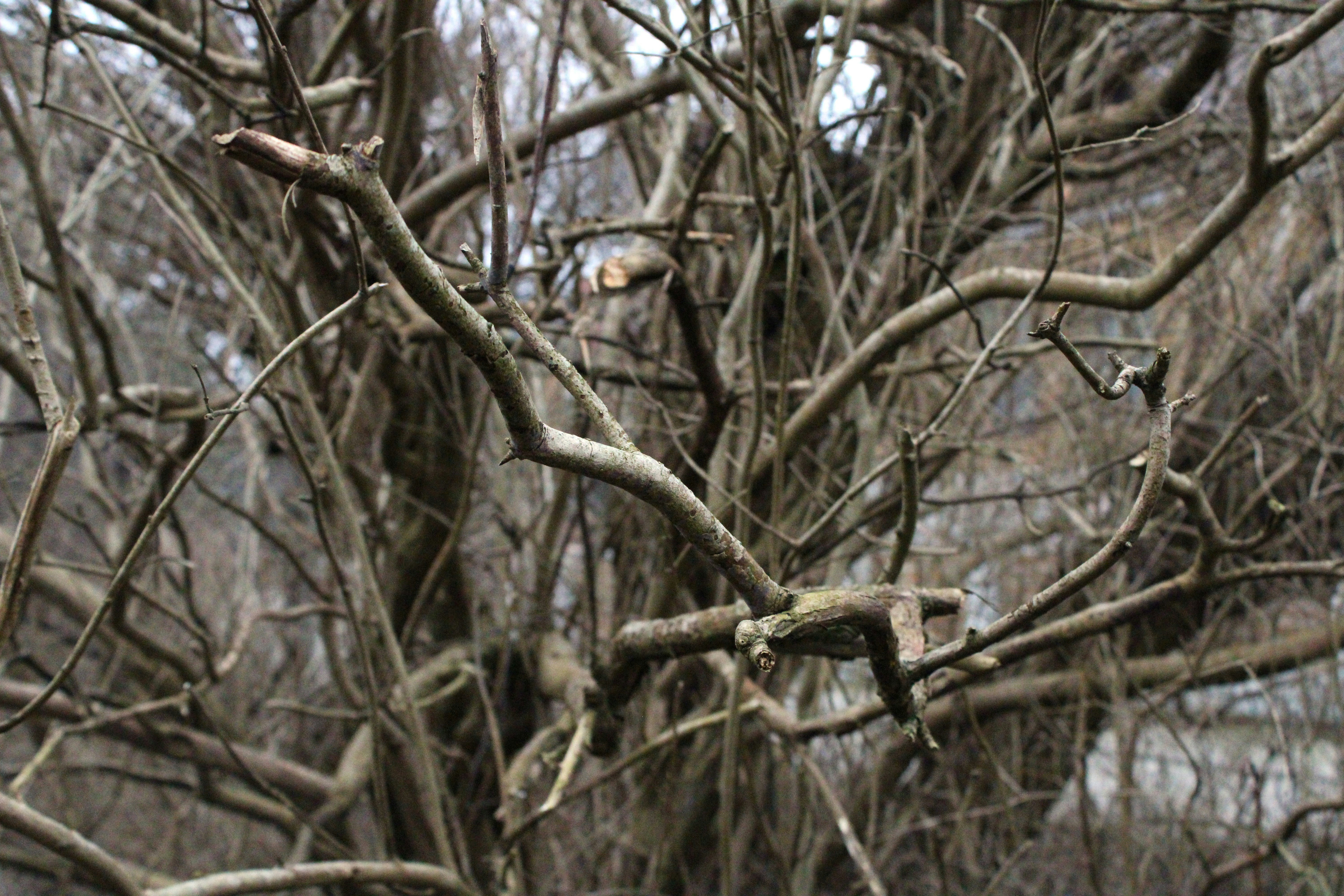 Photo by enamoradaaa