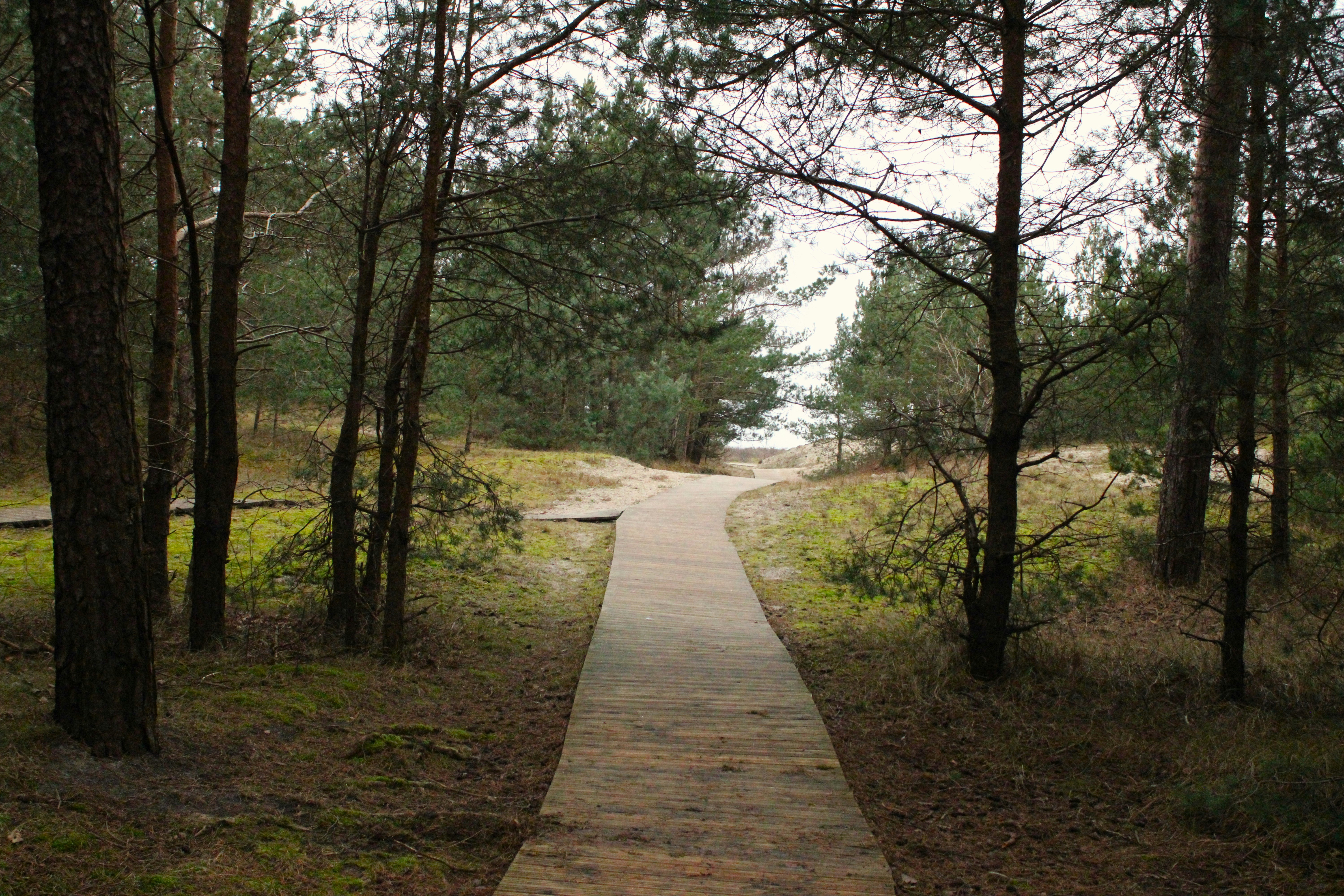 Photo by enamoradaaa