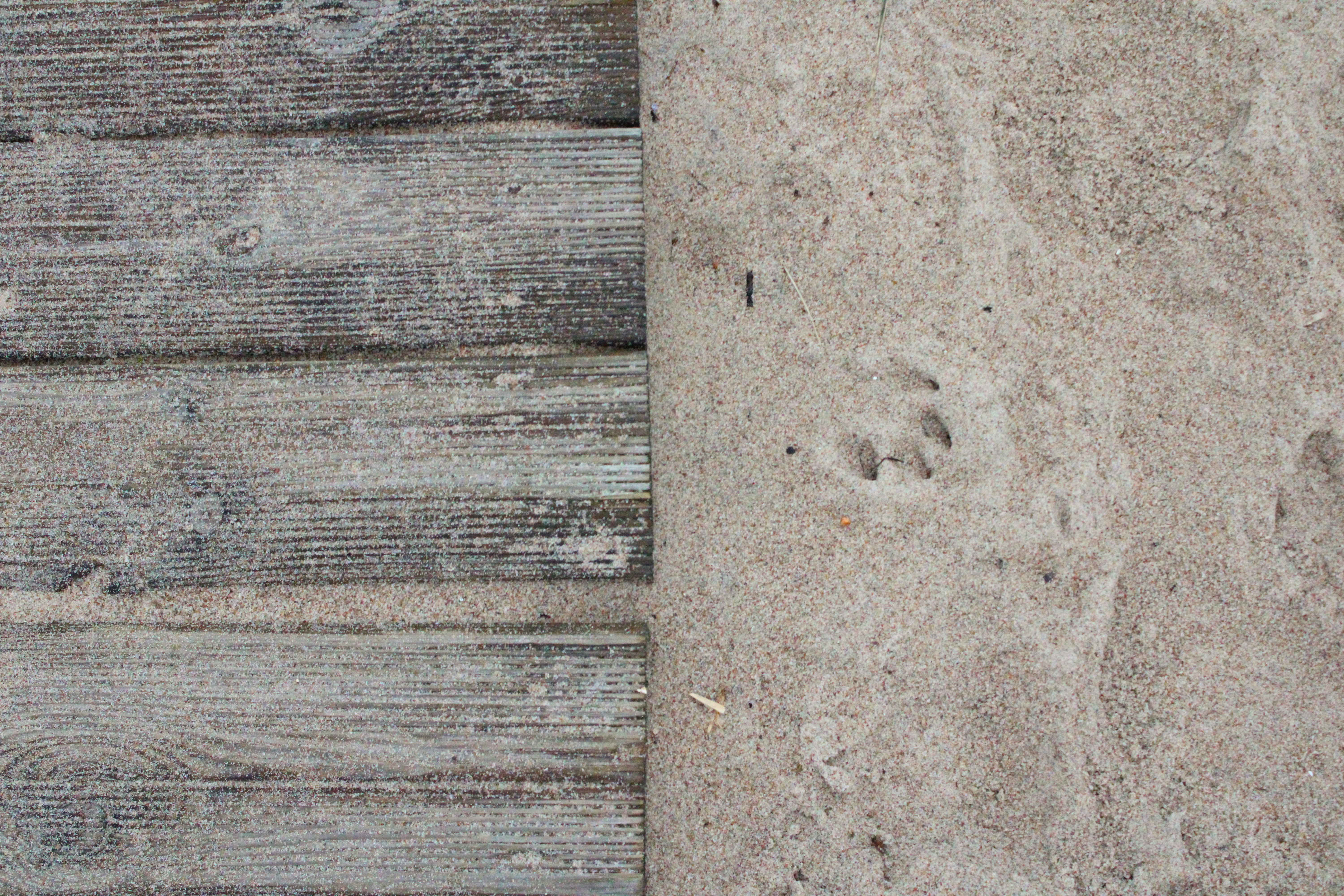 Photo by enamoradaaa