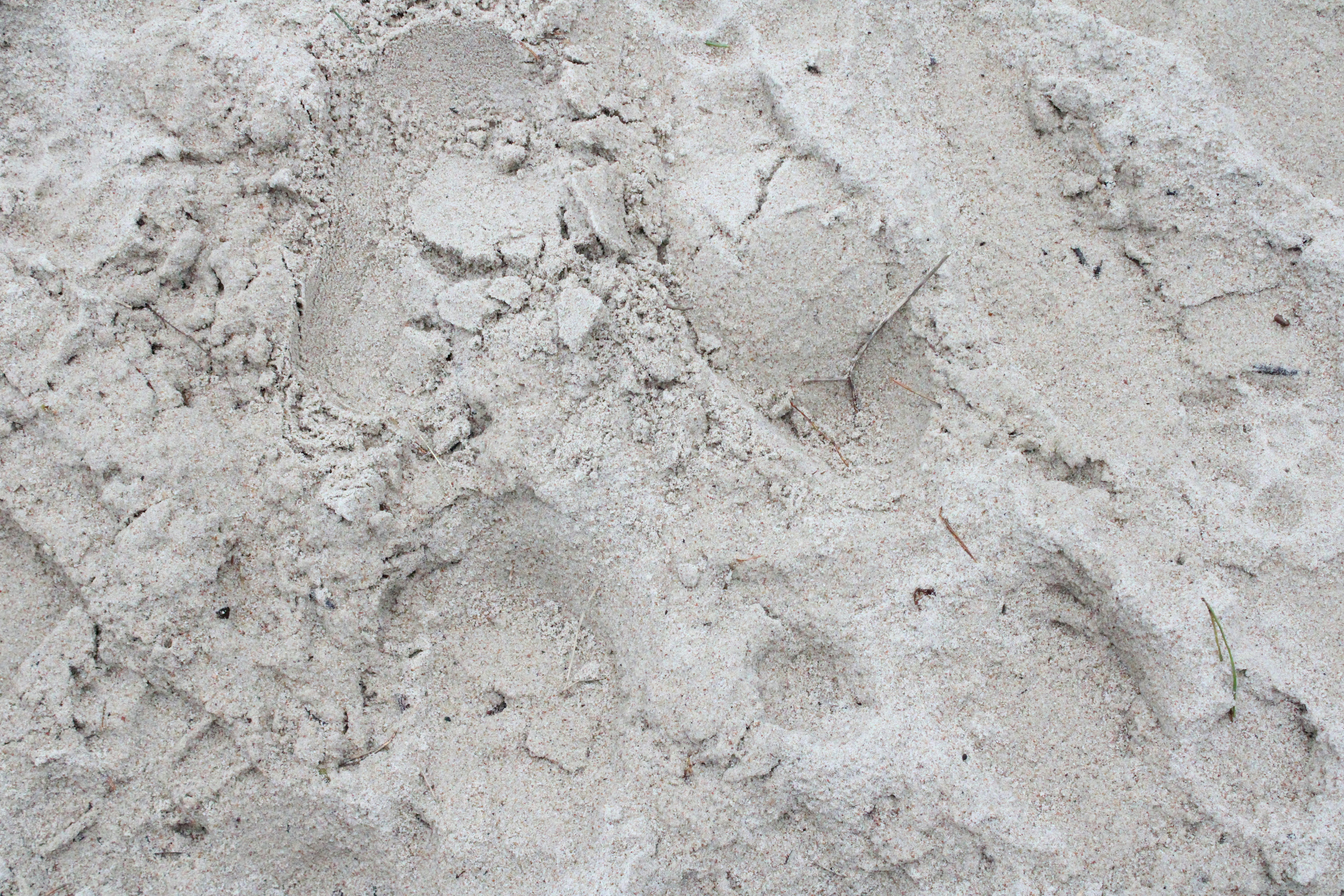 Photo by enamoradaaa