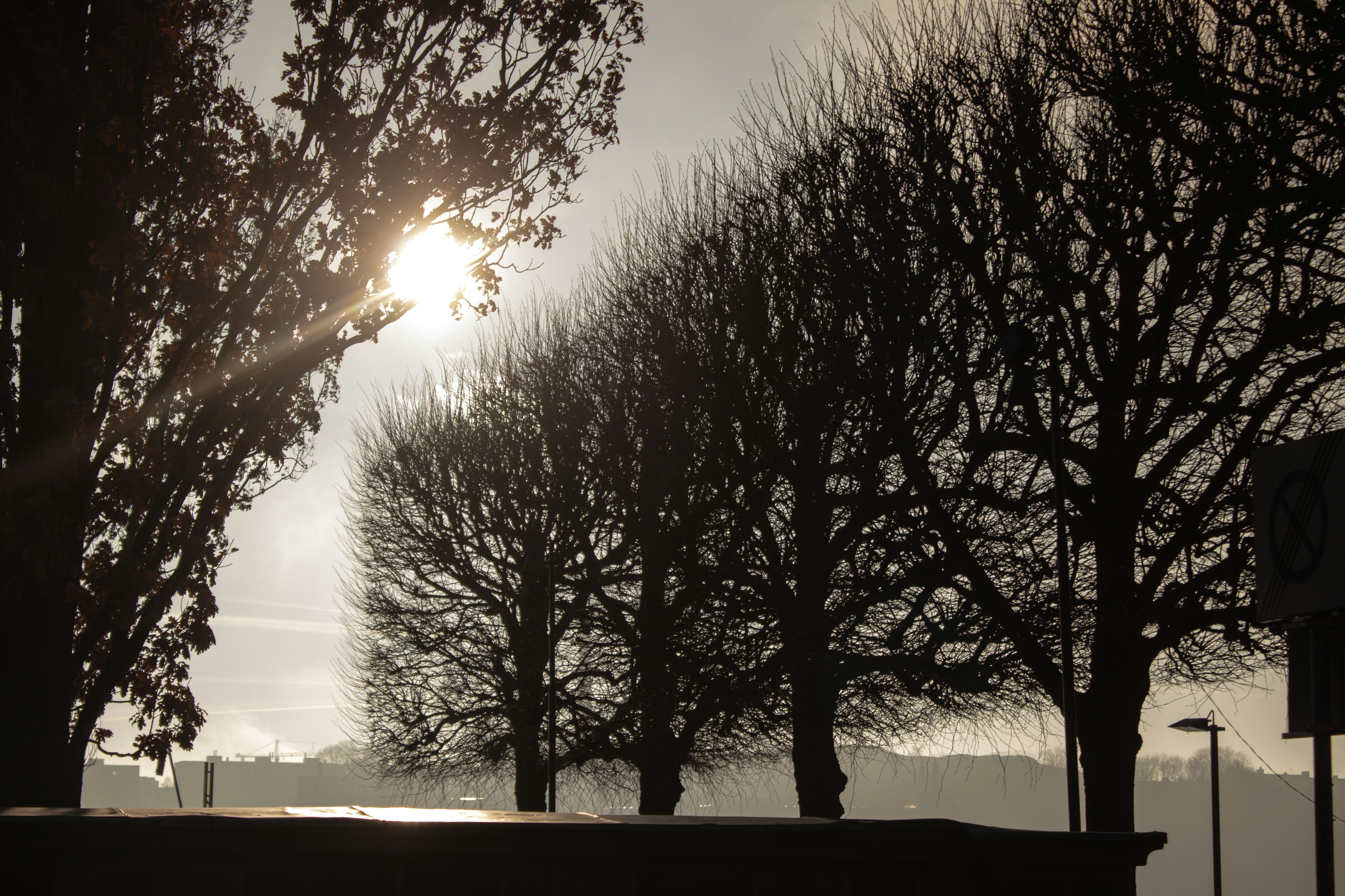 Photo by shirinkamal