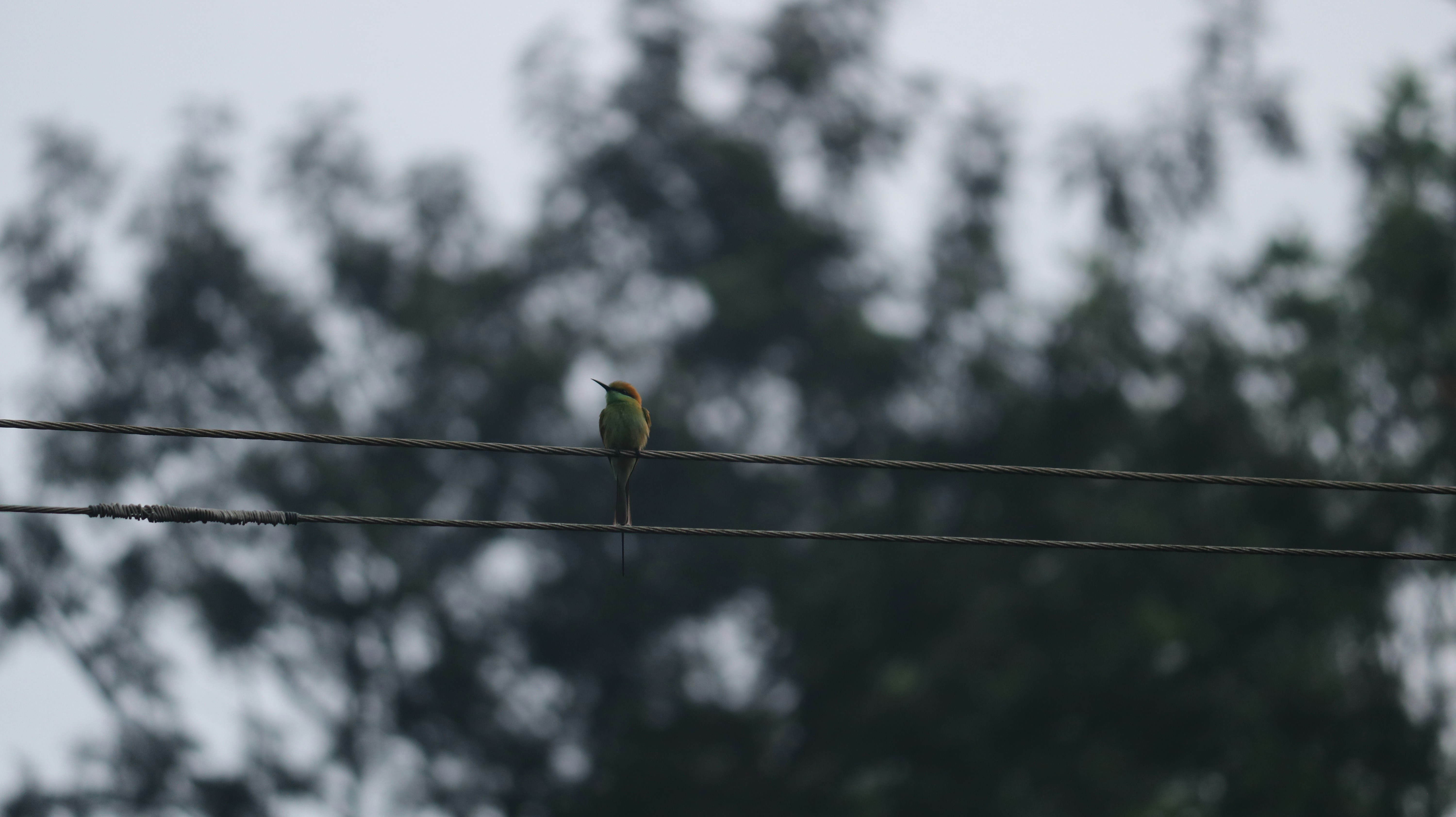 Photo by bhatia_rashmi