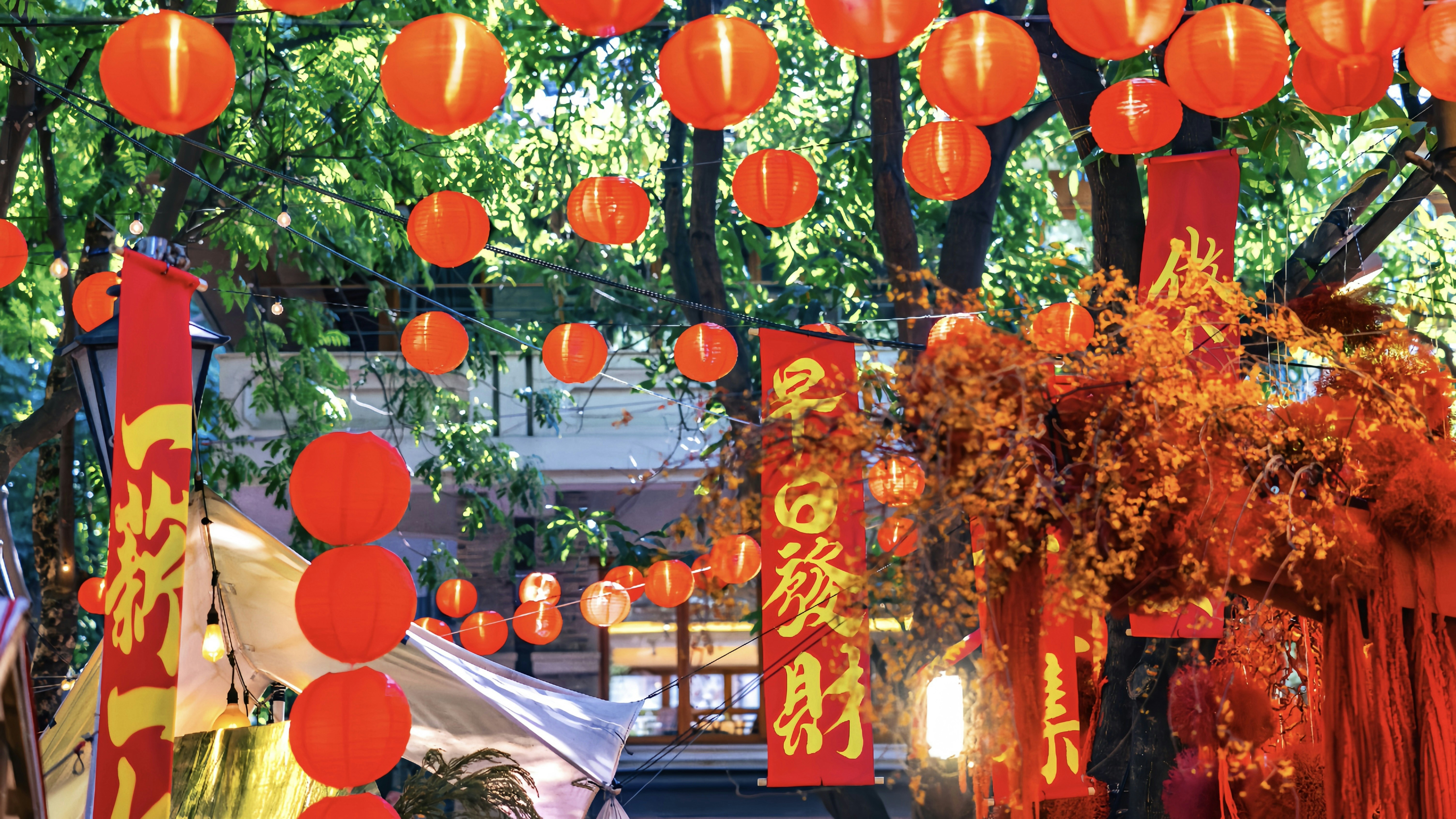 Photo by wangbinghua