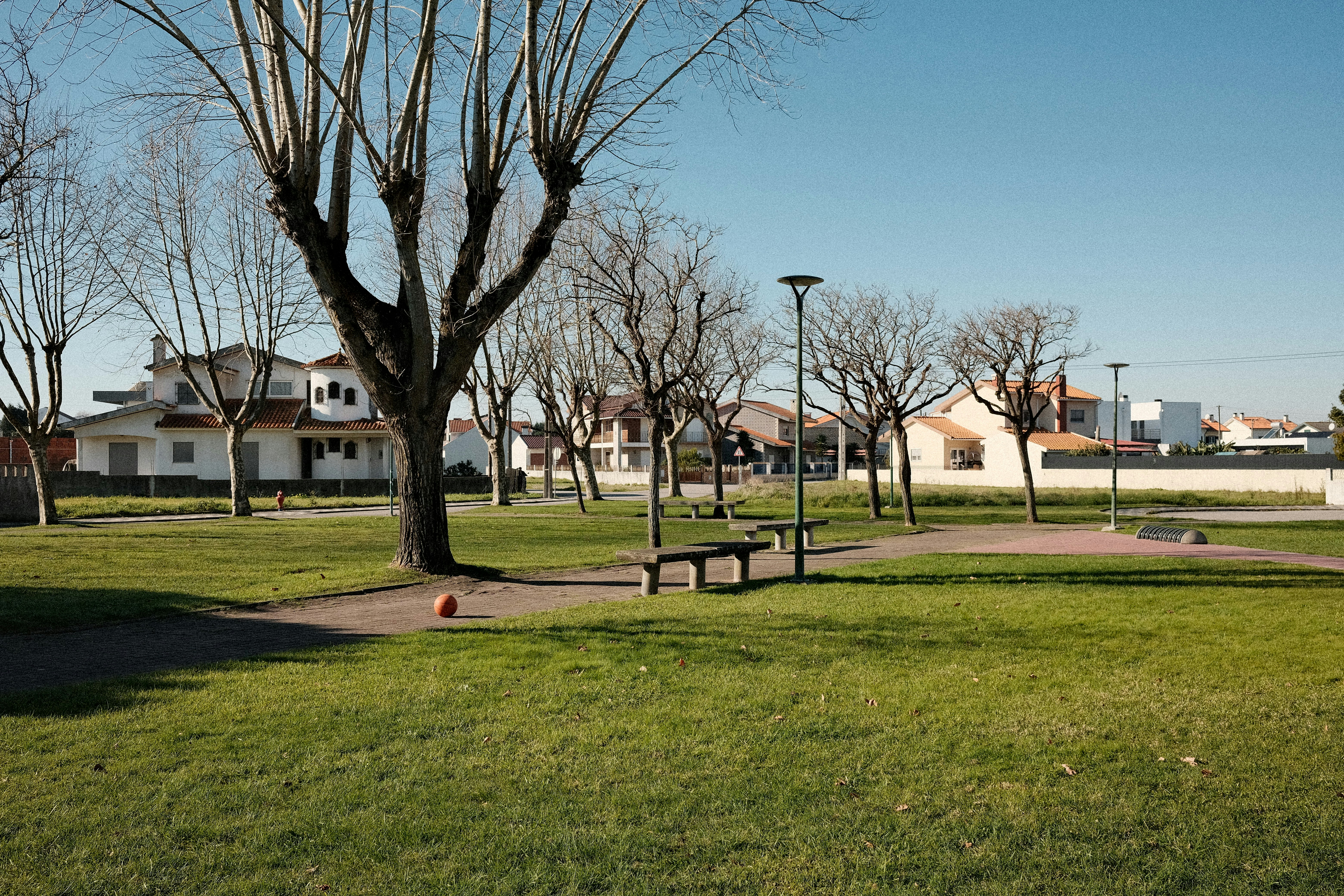 A park with a lot of trees and benches