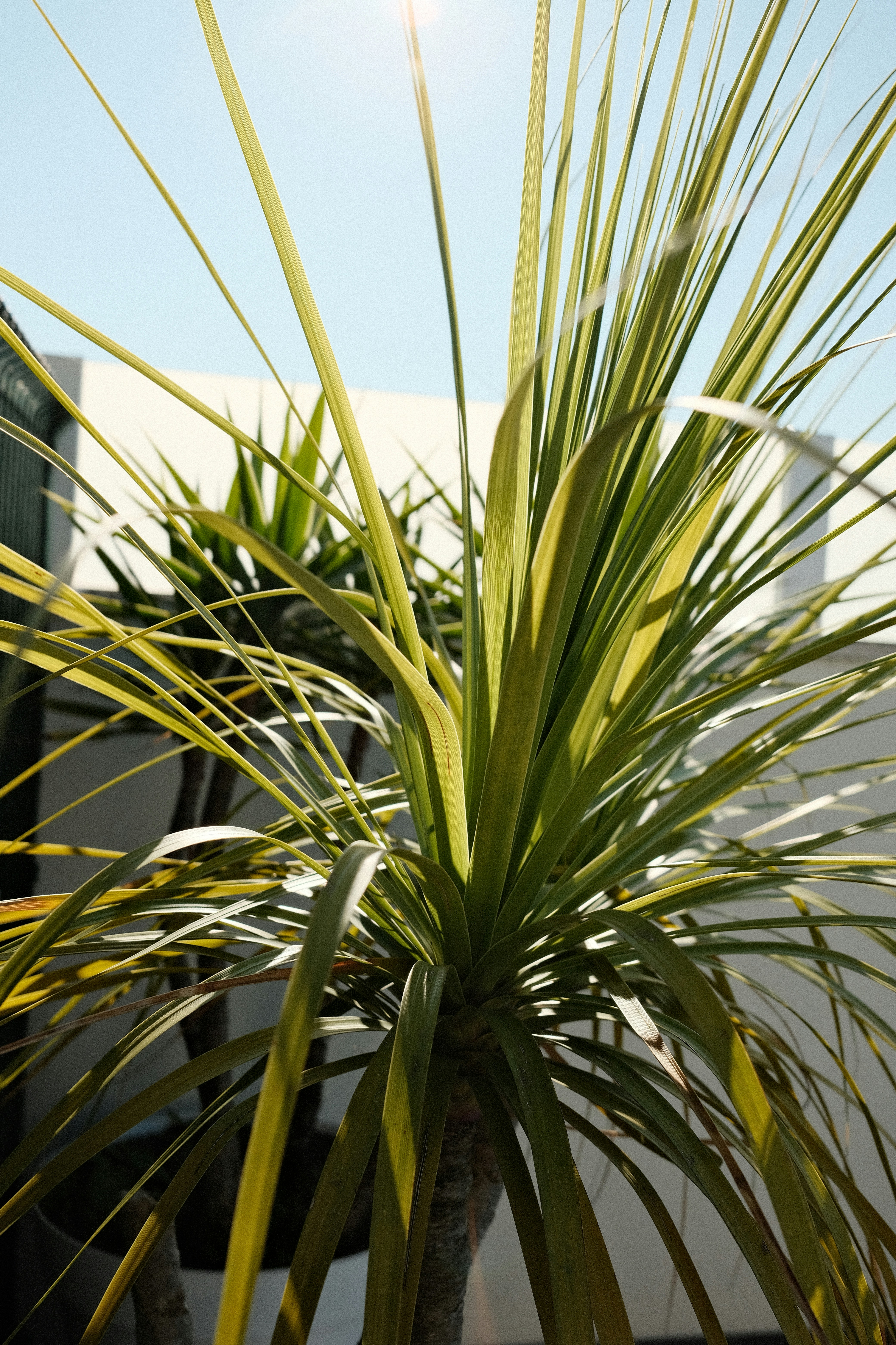 Photo by valentinlacoste