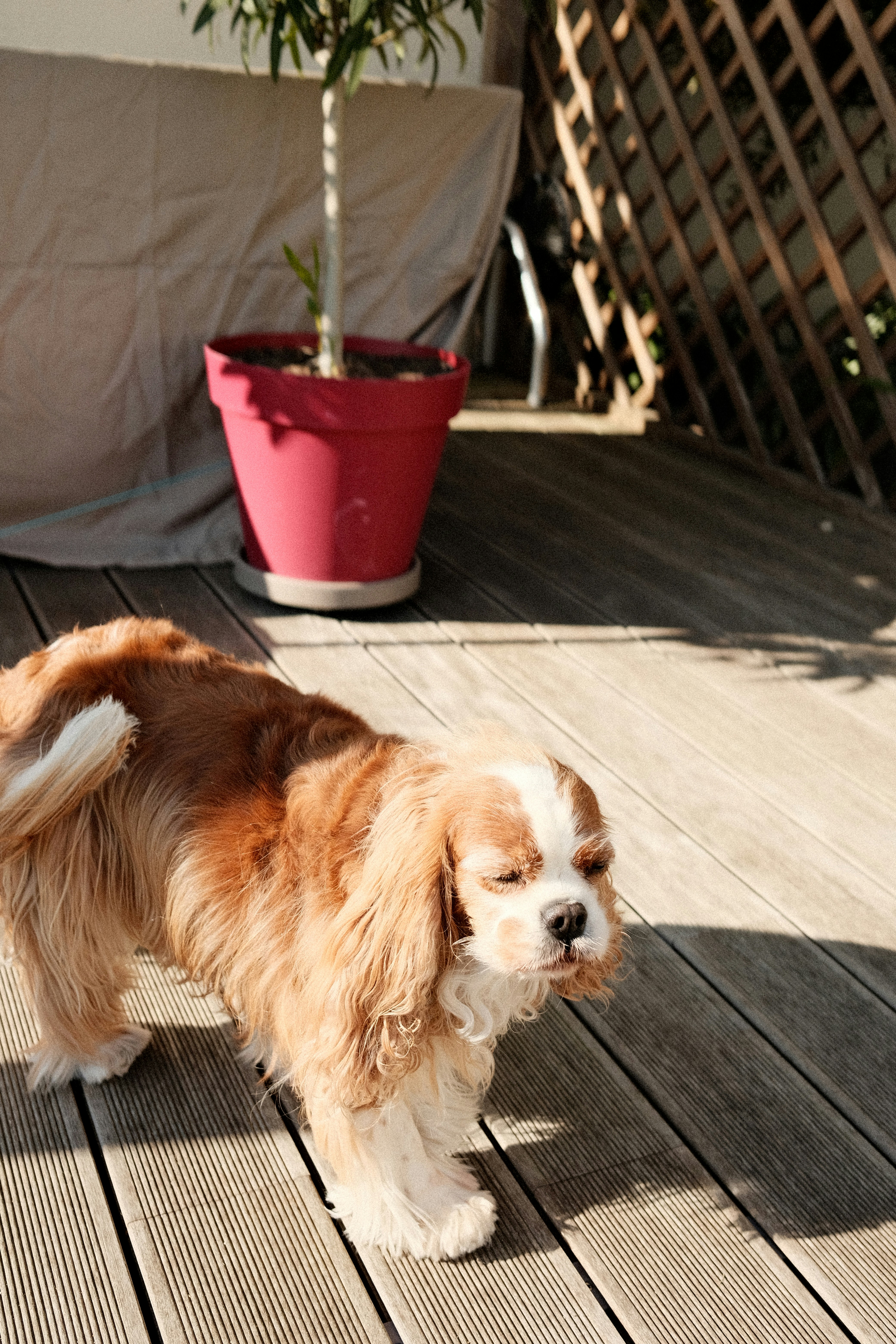 Photo by valentinlacoste