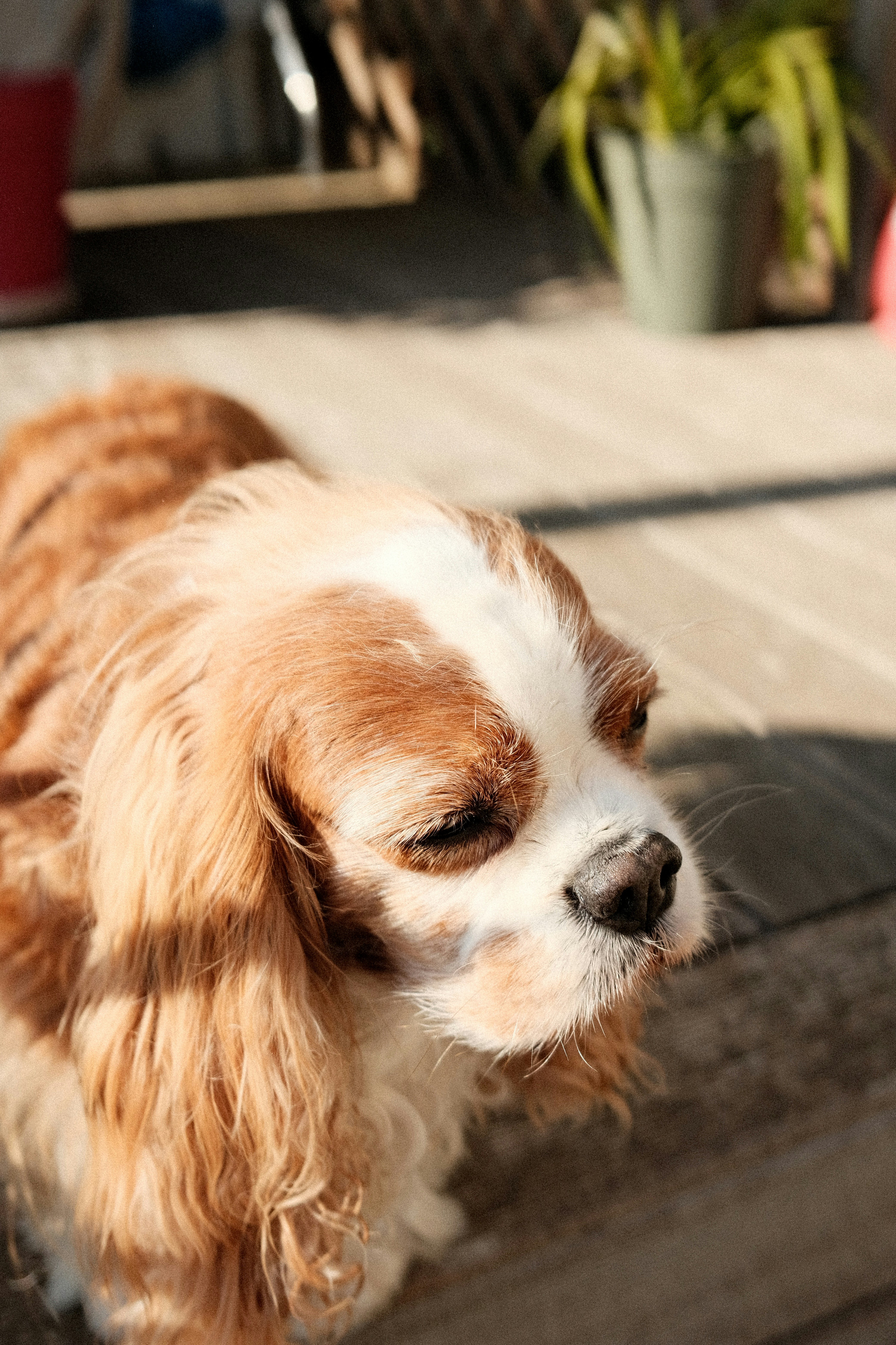 Photo by valentinlacoste