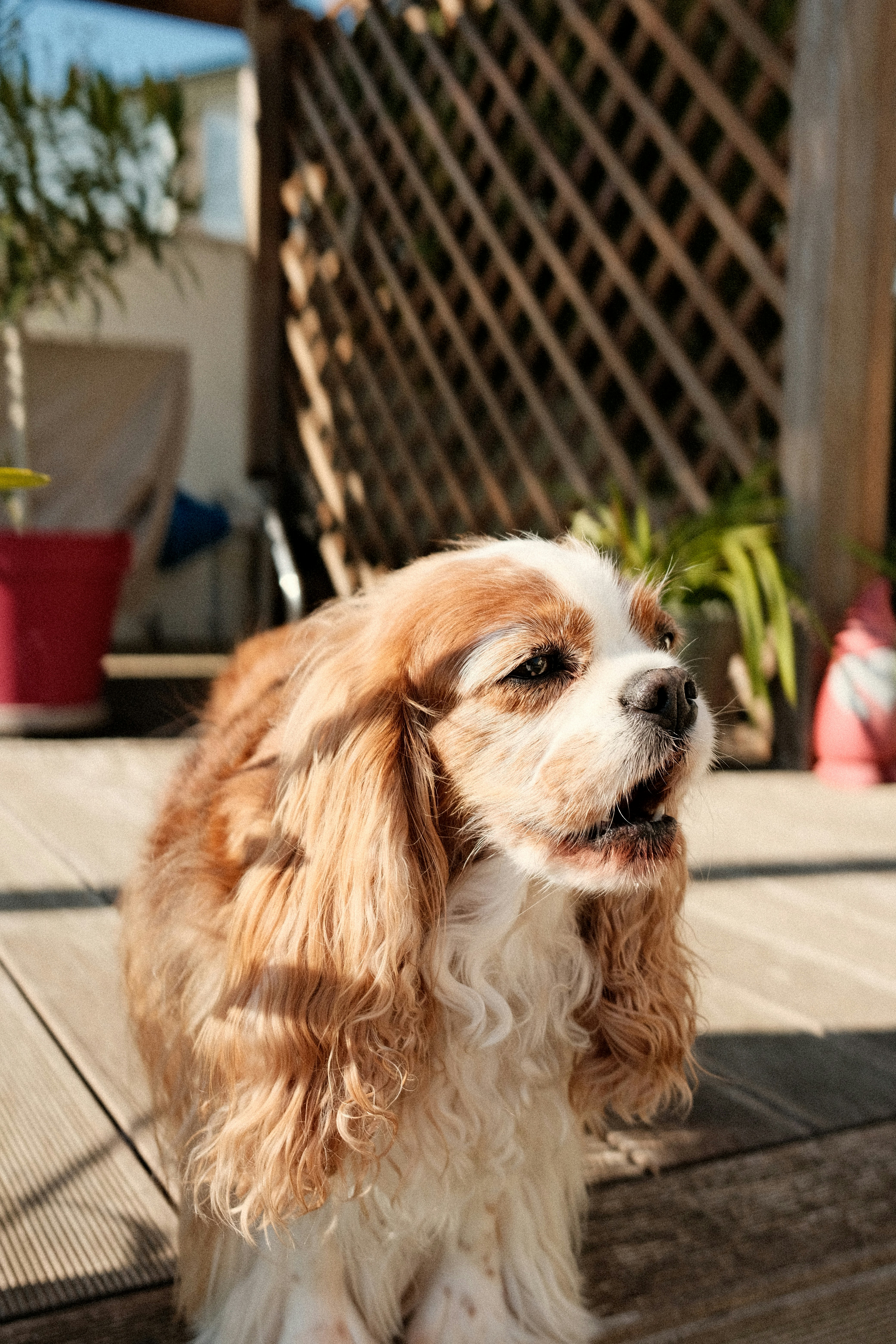 Photo by valentinlacoste