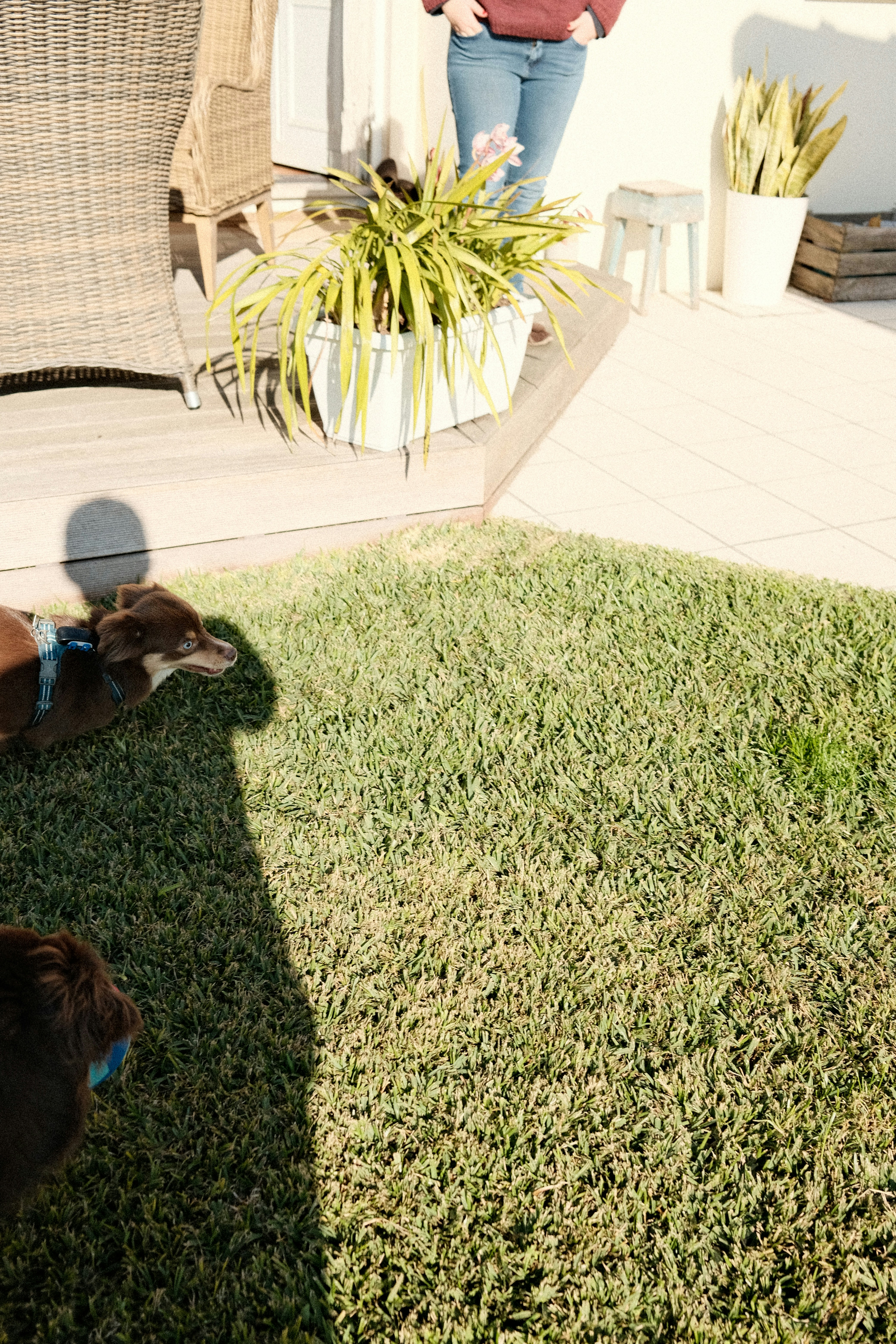 Photo by valentinlacoste