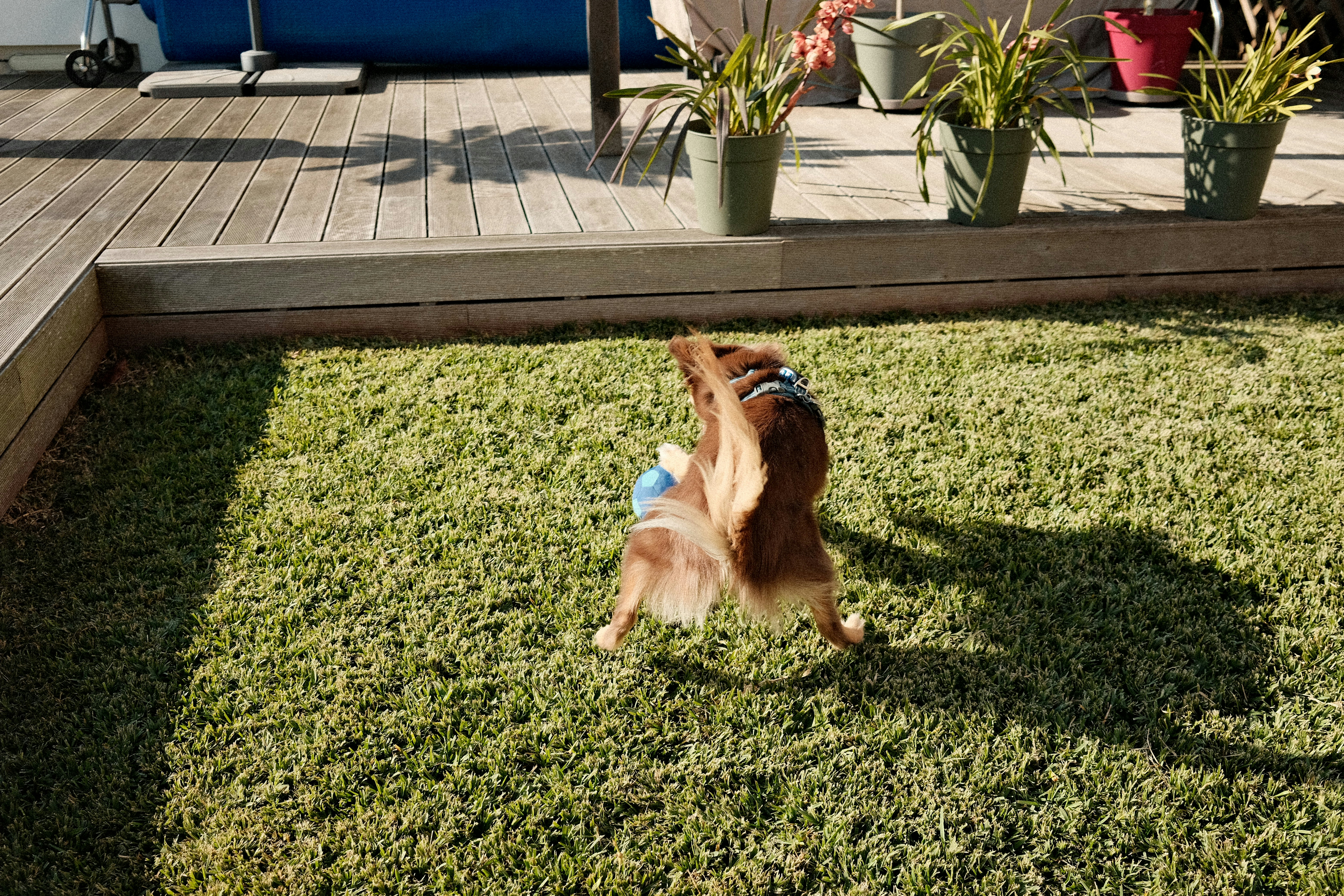 Support Healthy Eating with Movement and Monitoring