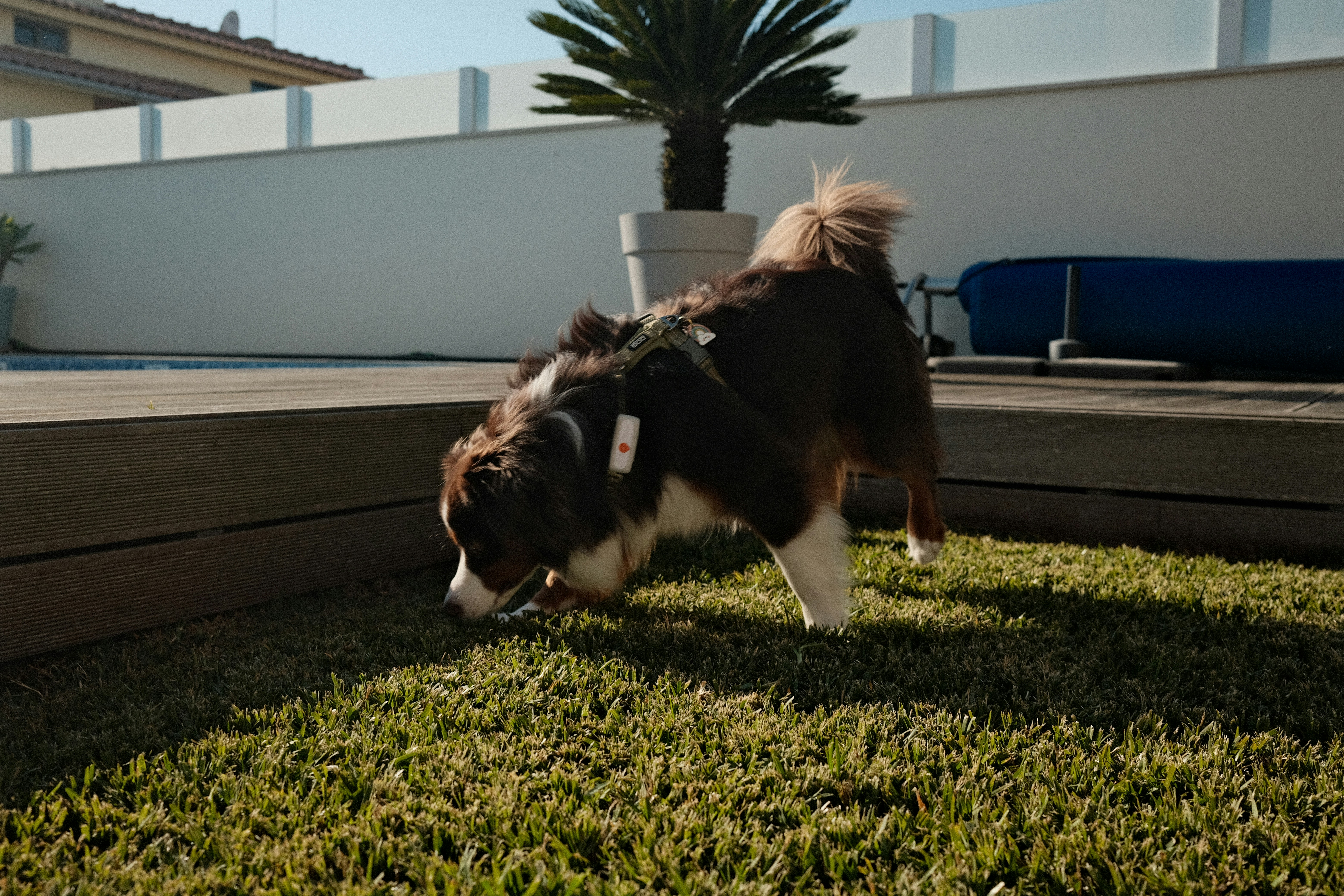 Improving Sleep Through Physical Activity