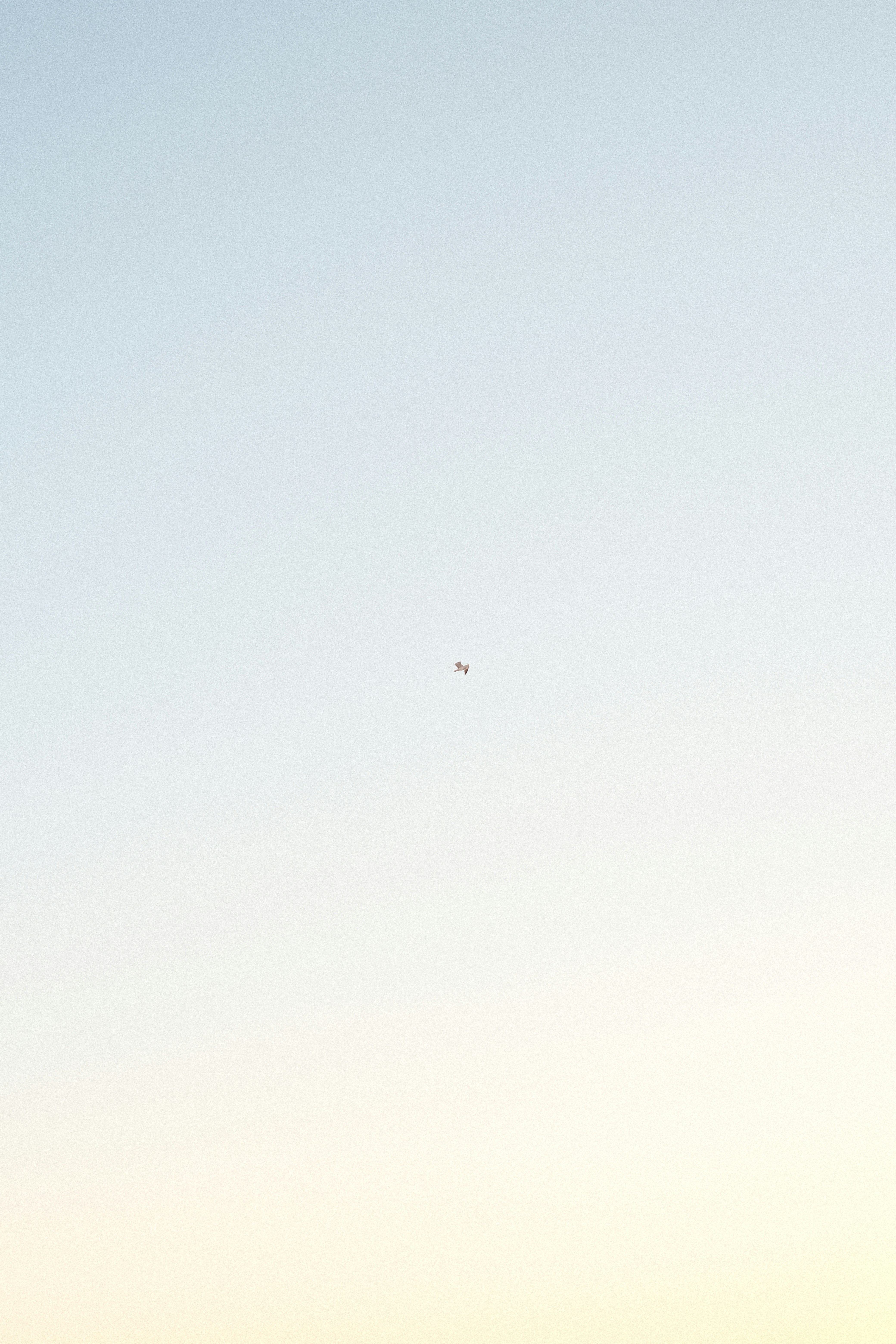 Photo by valentinlacoste