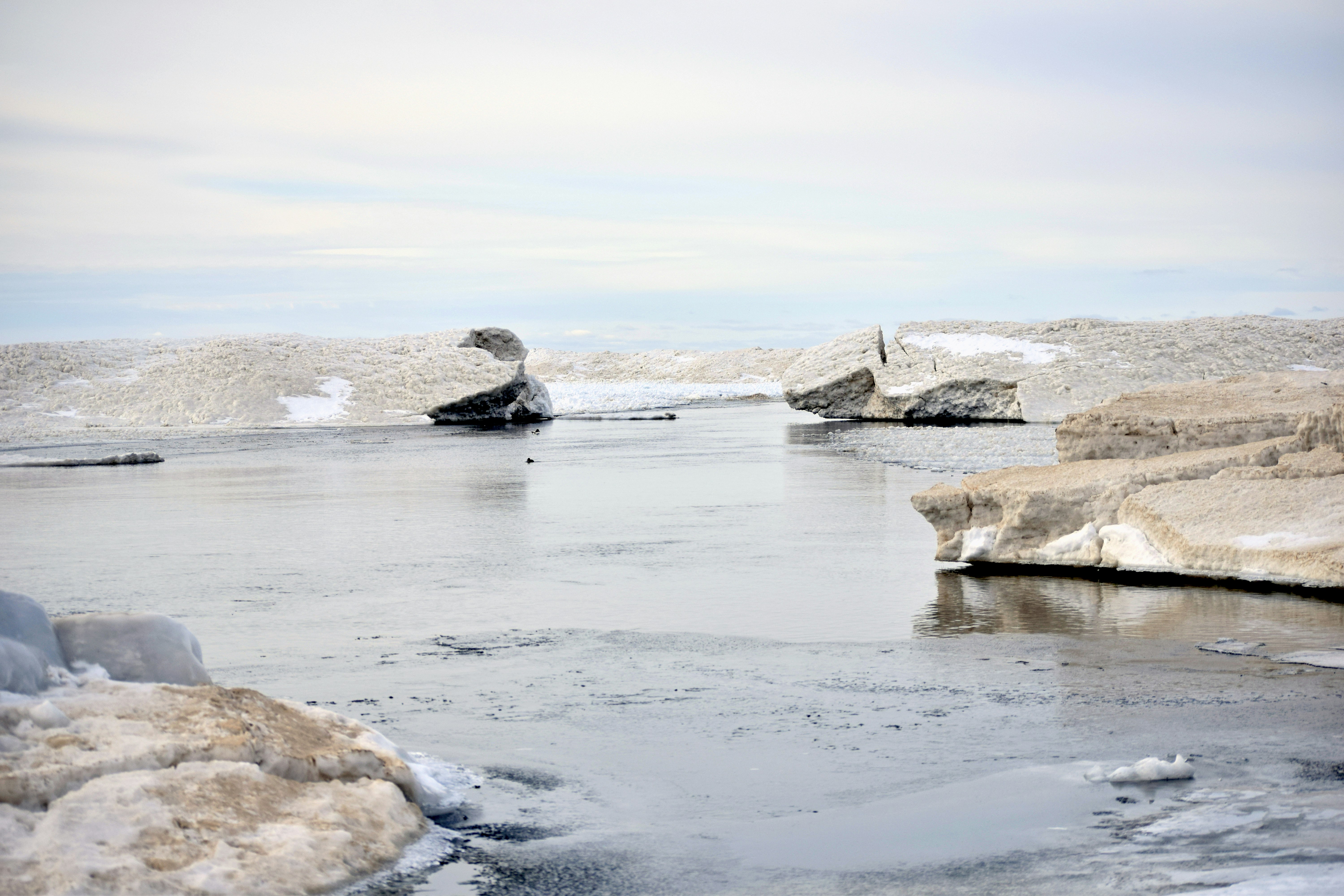 Photo by jessij_design