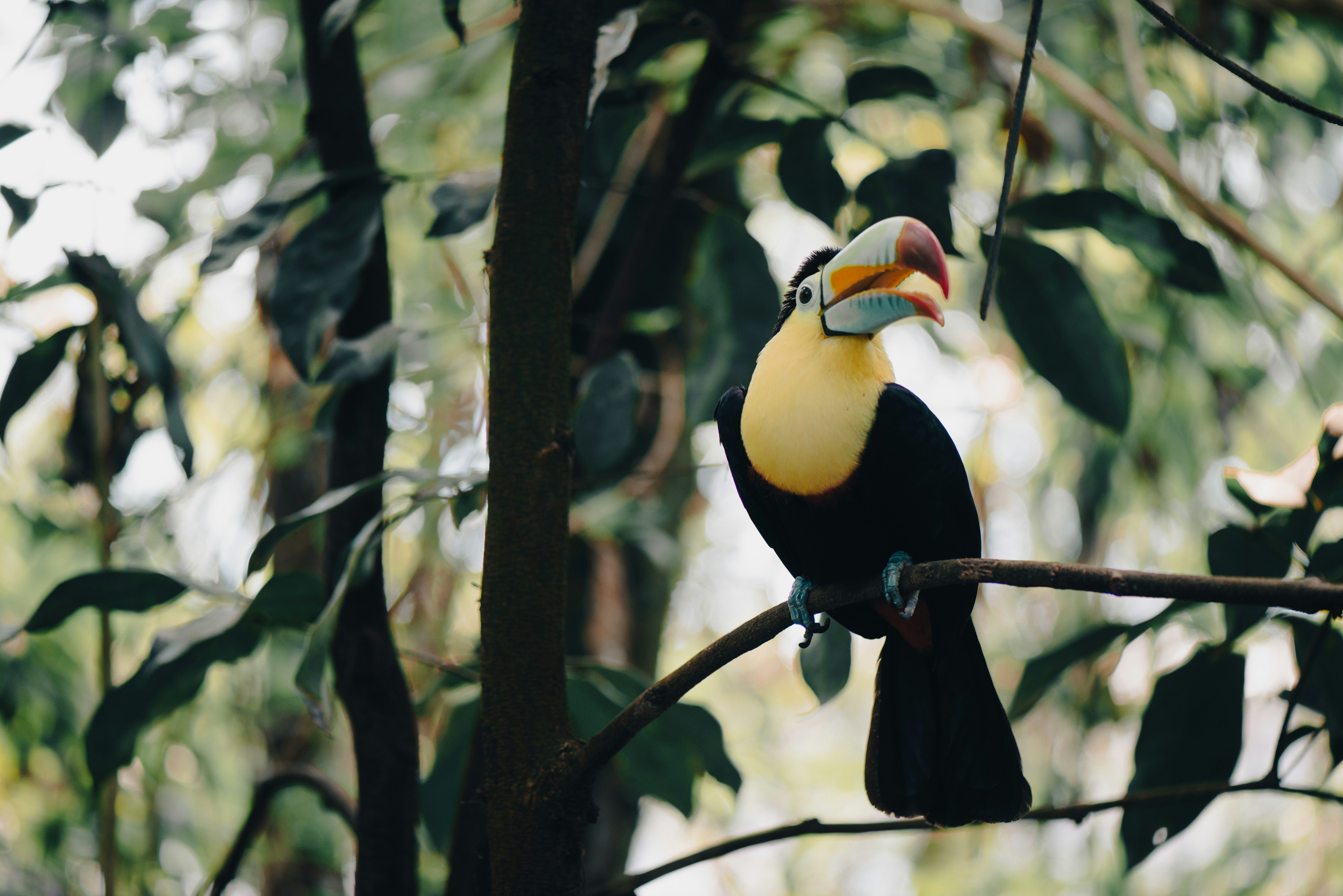 Photo by lesnondupeserrent