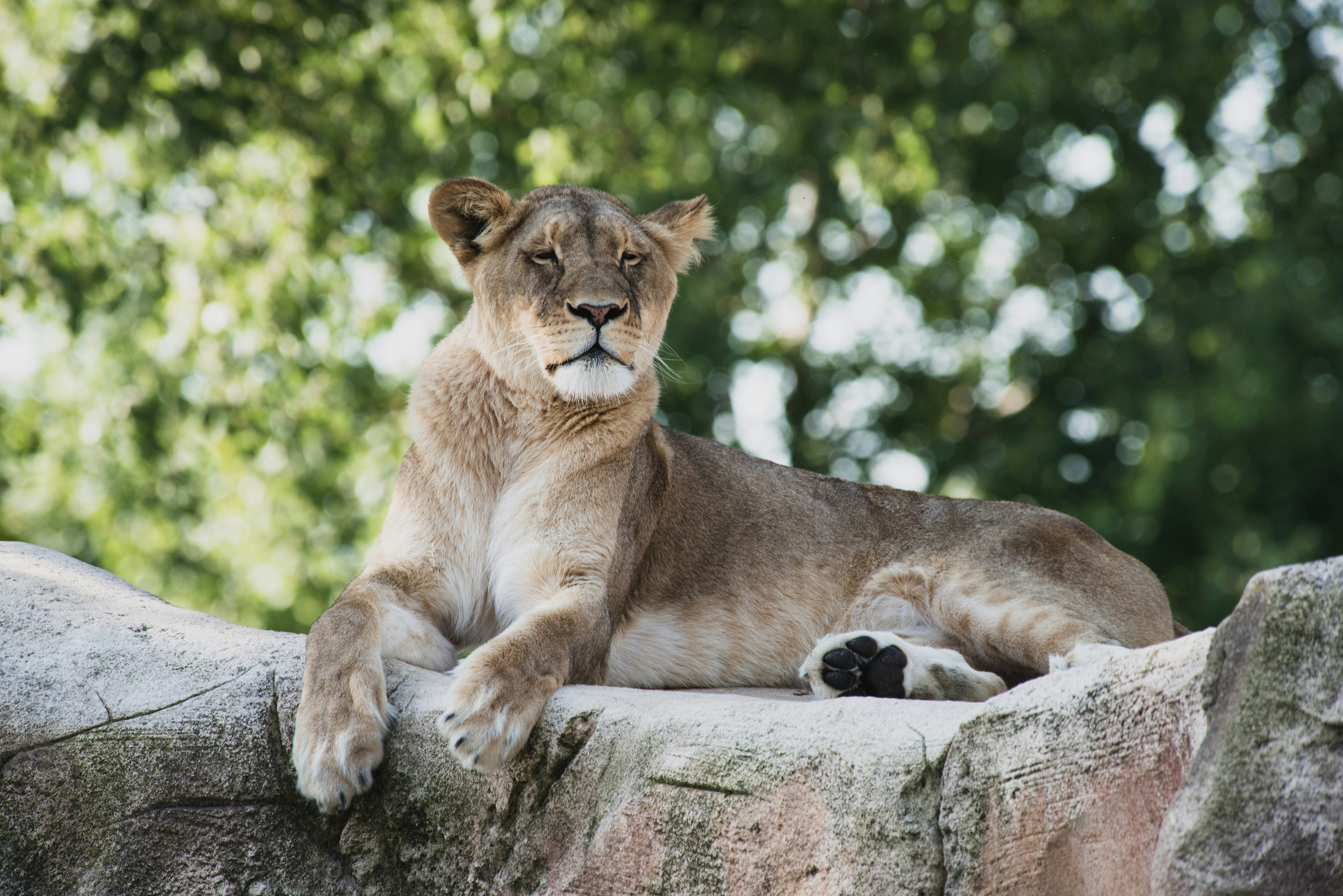 Photo by lesnondupeserrent