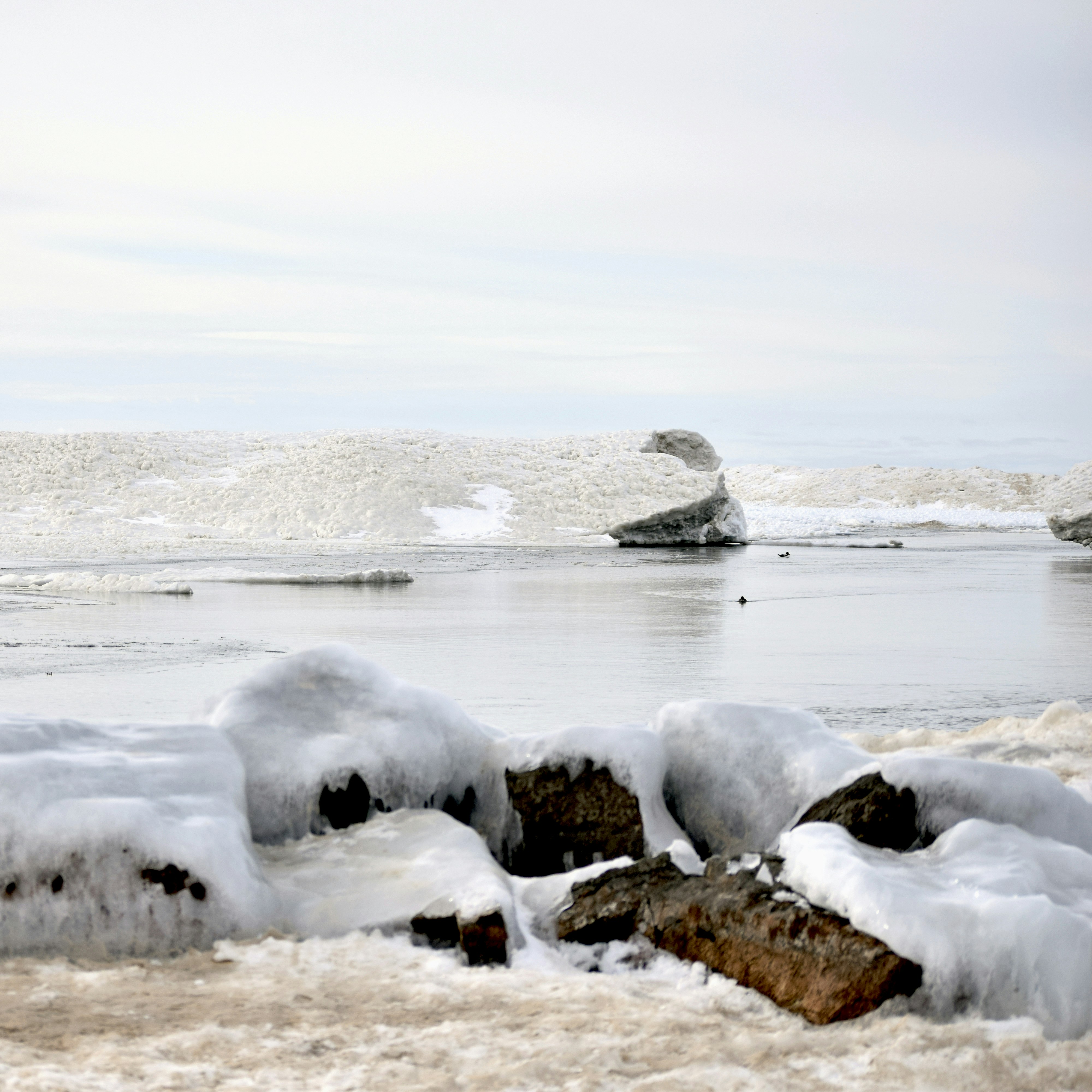 Photo by jessij_design