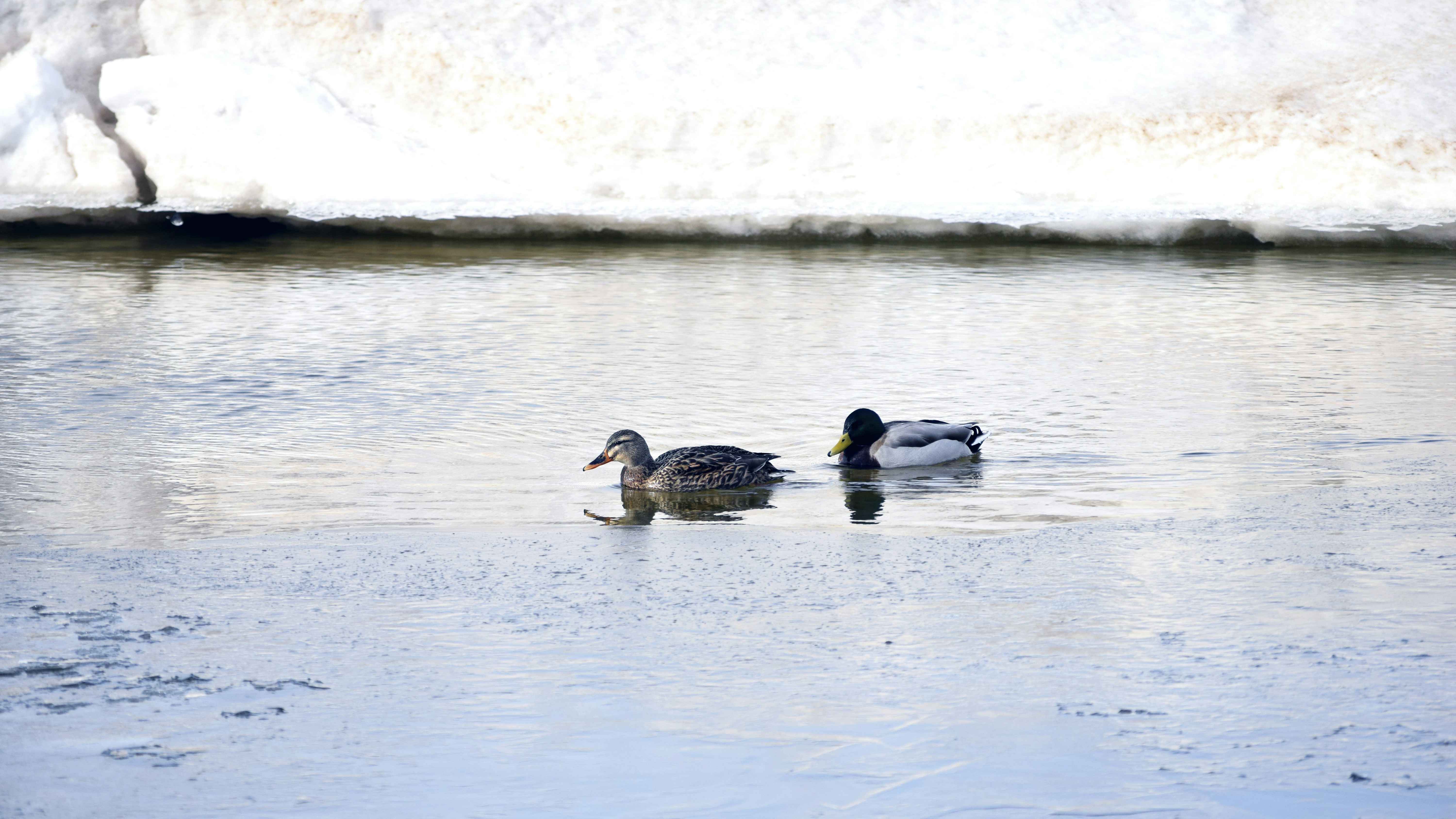 Photo by jessij_design