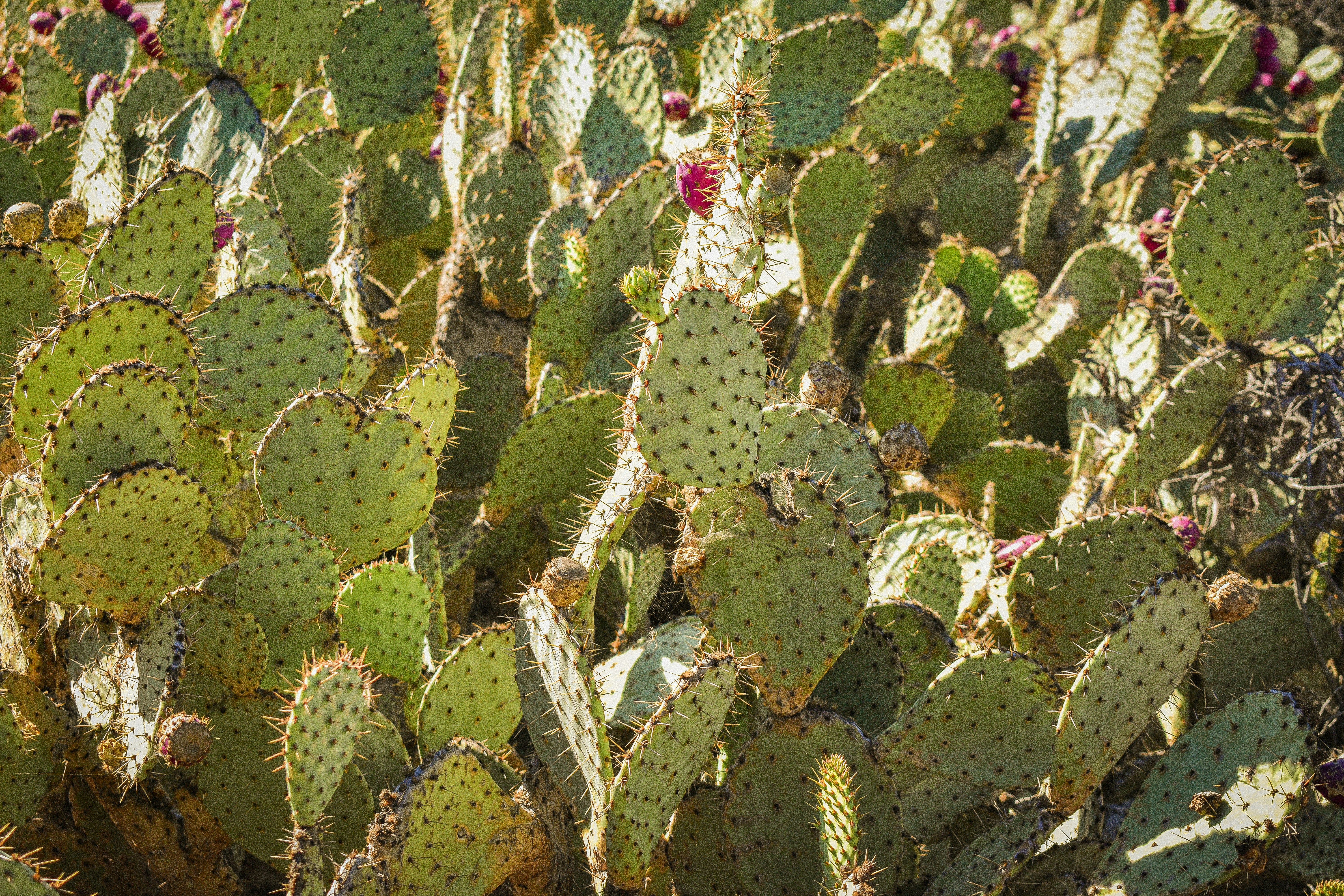 Photo by carolina_25