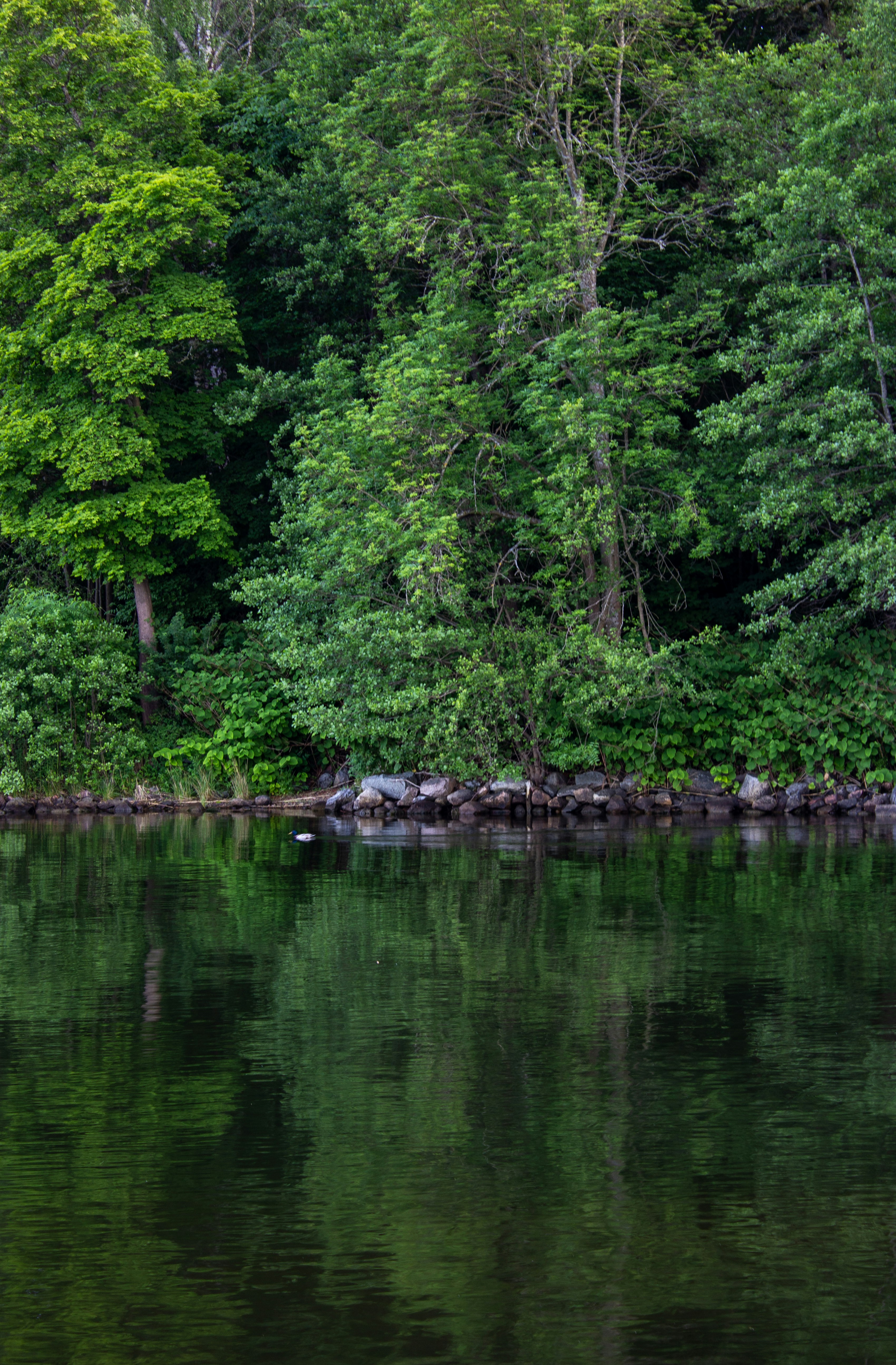 Photo by shirinkamal