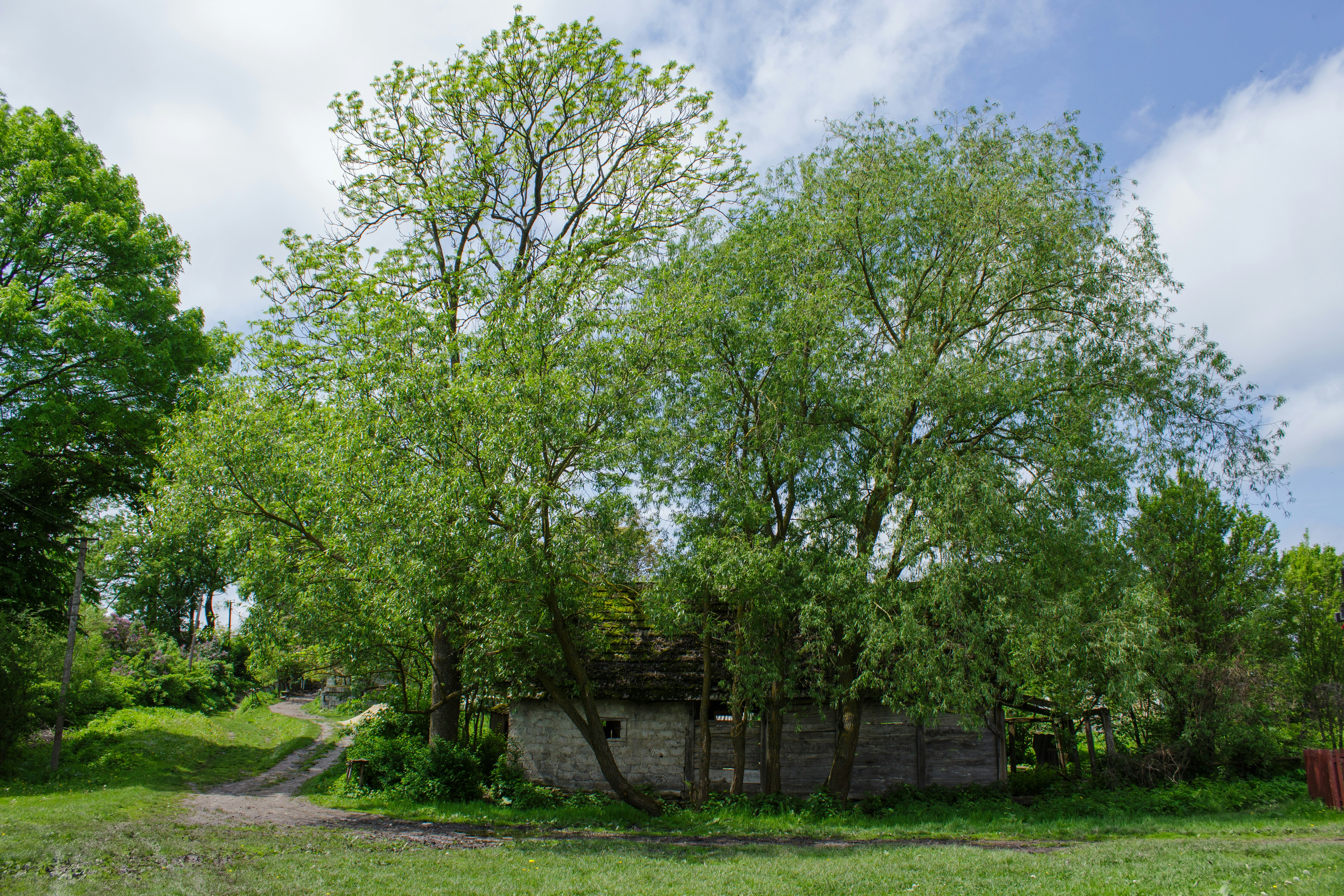 Photo by viktorsmoliak