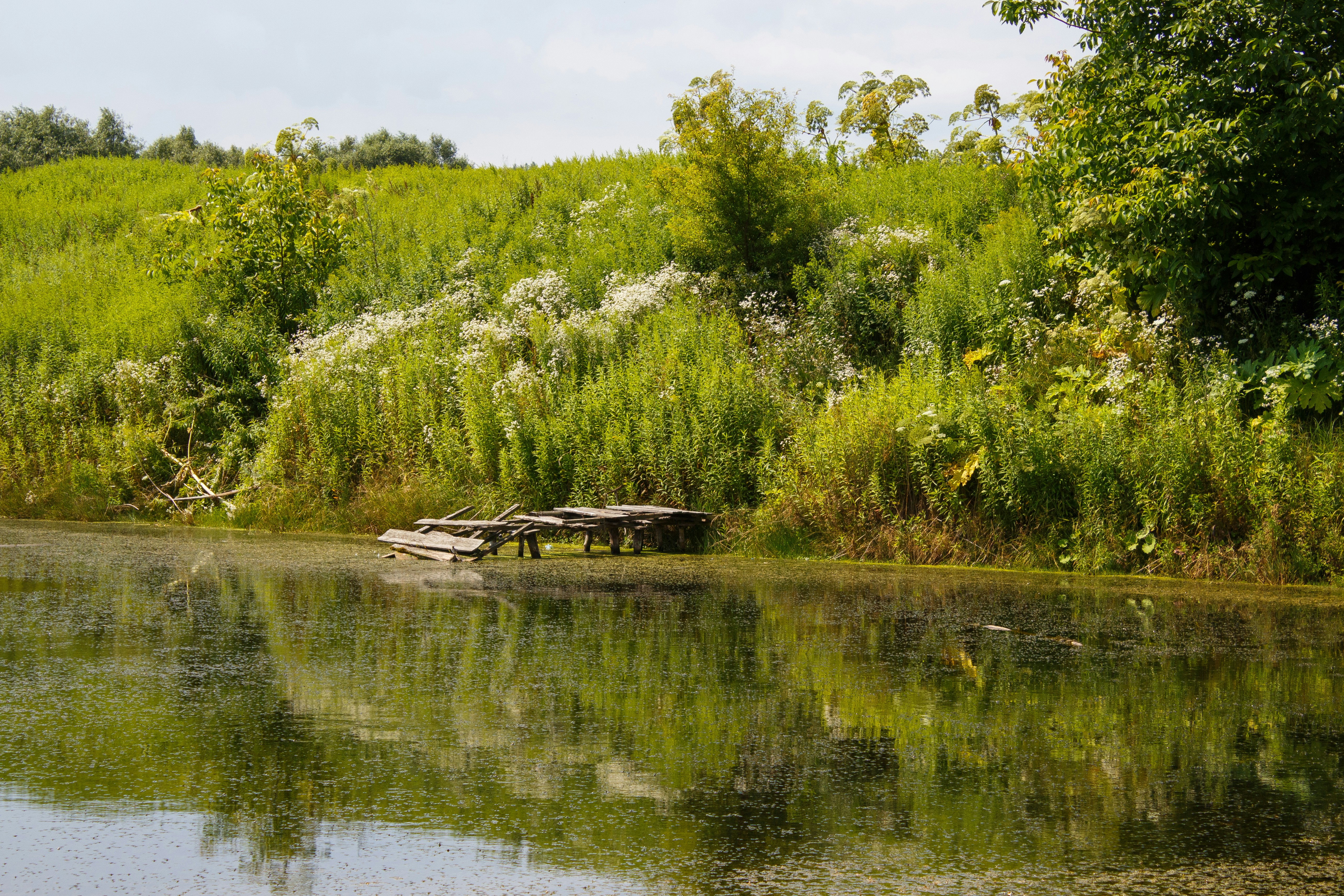 Photo by viktorsmoliak